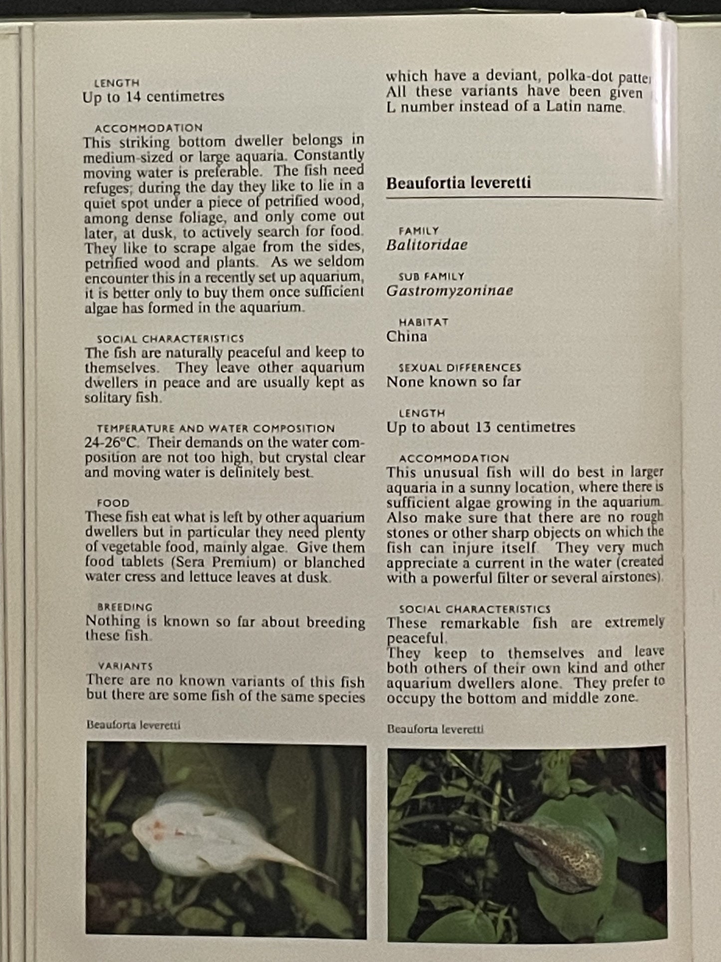 The Complete Encyclopedia of Tropical Fish by Esther J. J. Verhoef-Verhallen