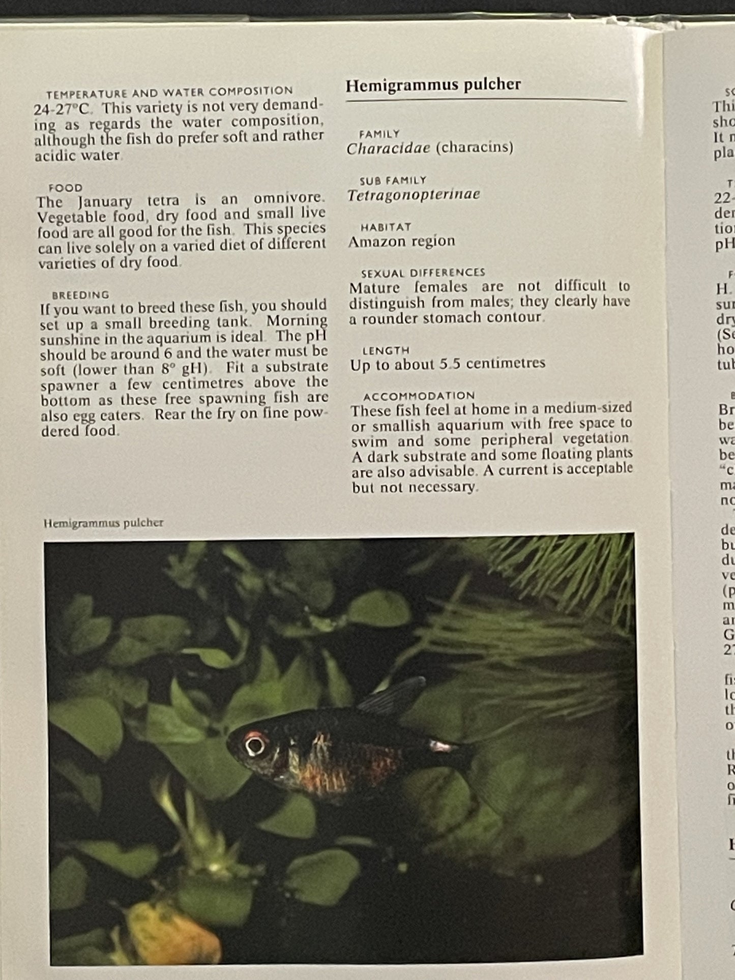 The Complete Encyclopedia of Tropical Fish by Esther J. J. Verhoef-Verhallen