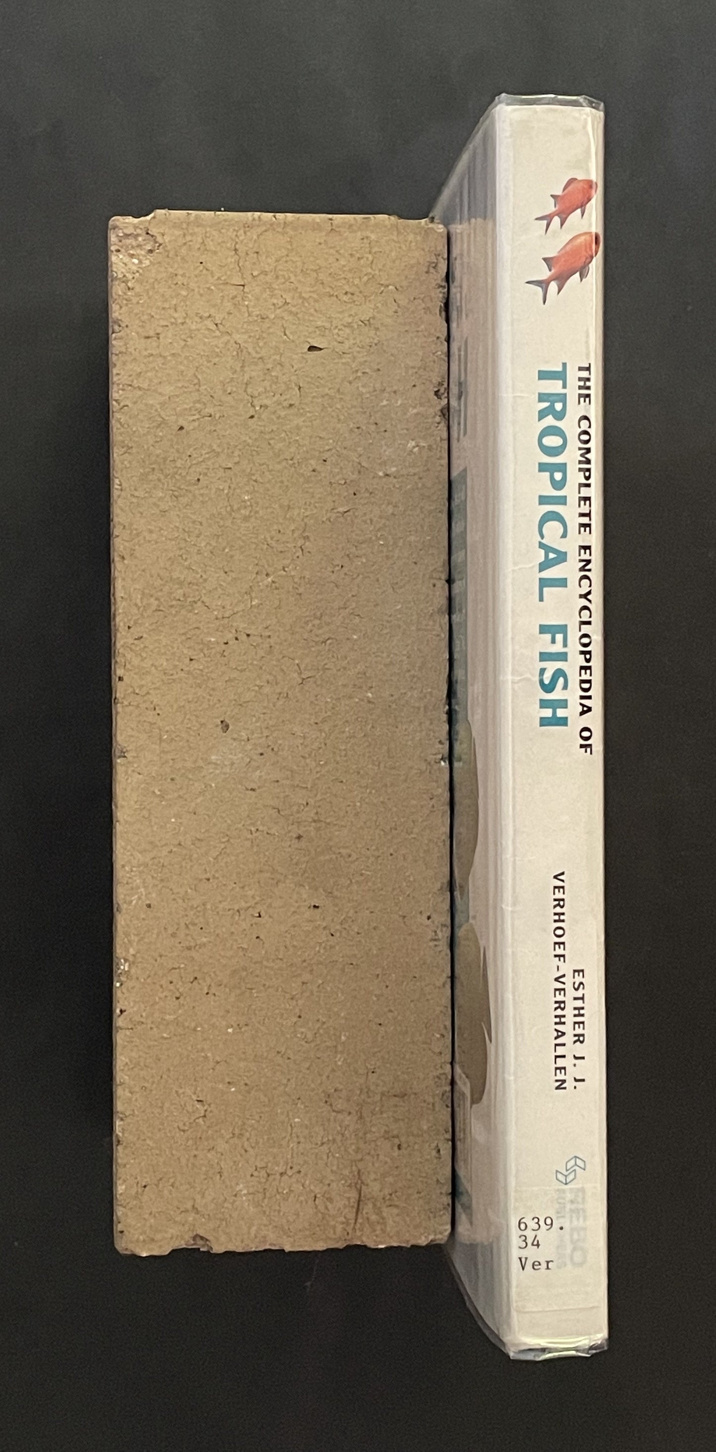 The Complete Encyclopedia of Tropical Fish by Esther J. J. Verhoef-Verhallen