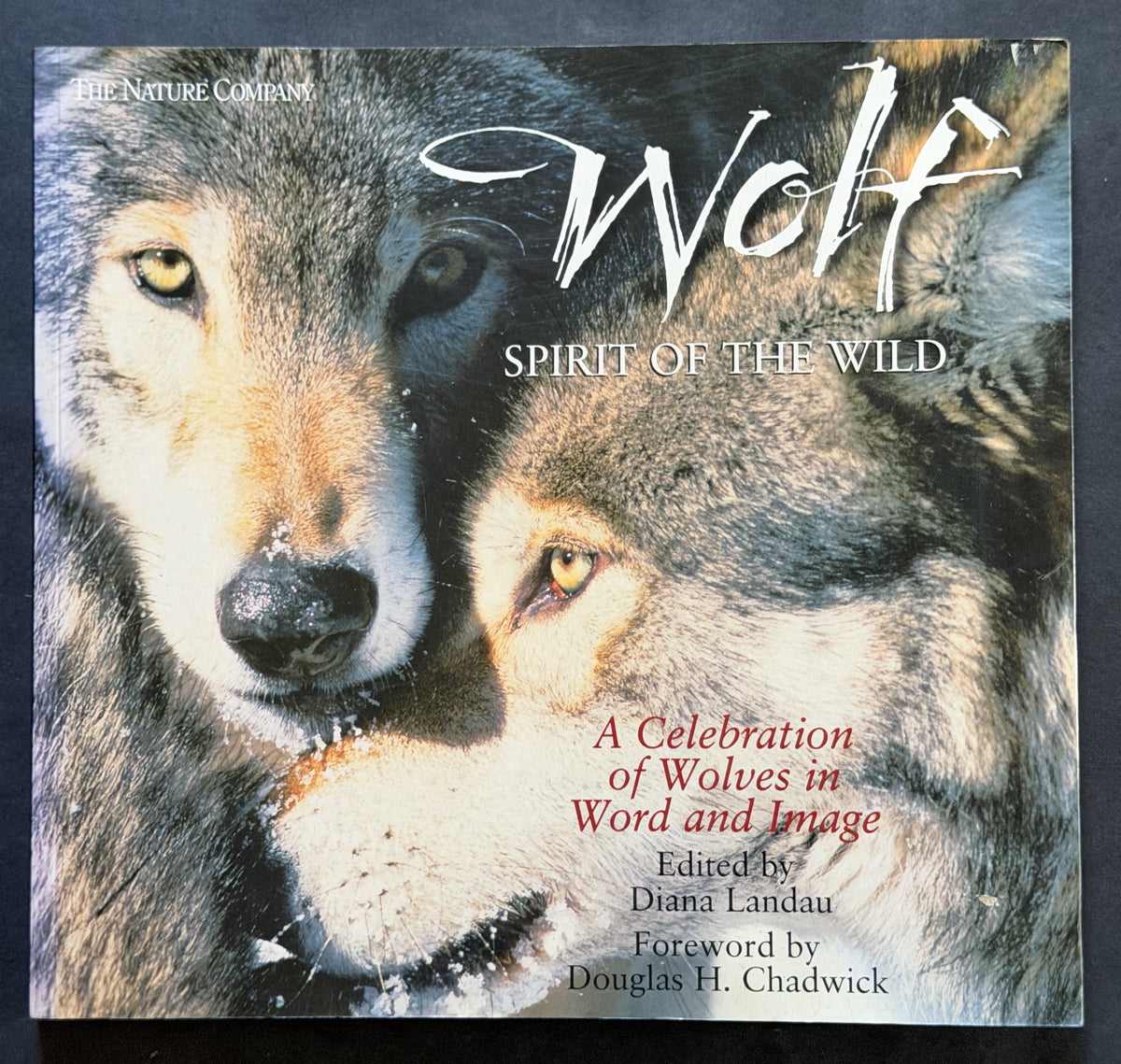 Wolf by Diana Landau