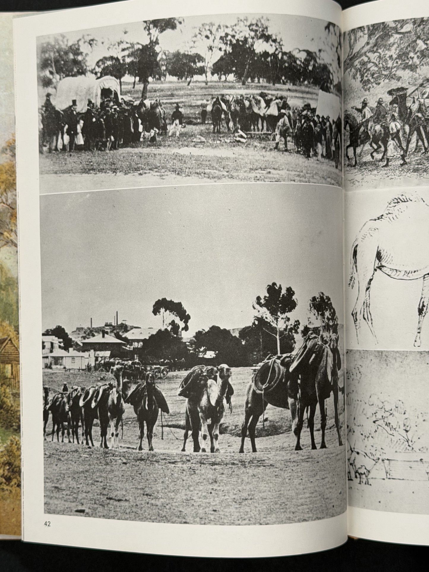 The Journey of Burke and Wills by Max Colwell
