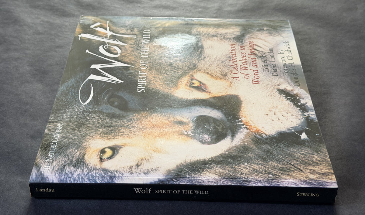 Wolf by Diana Landau