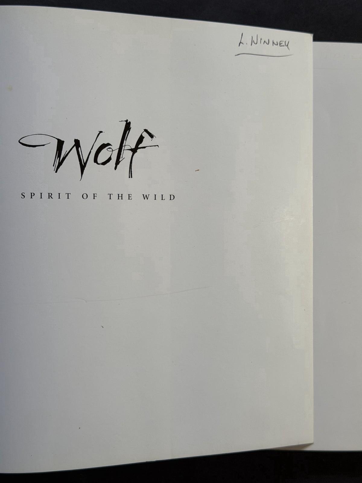 Wolf by Diana Landau