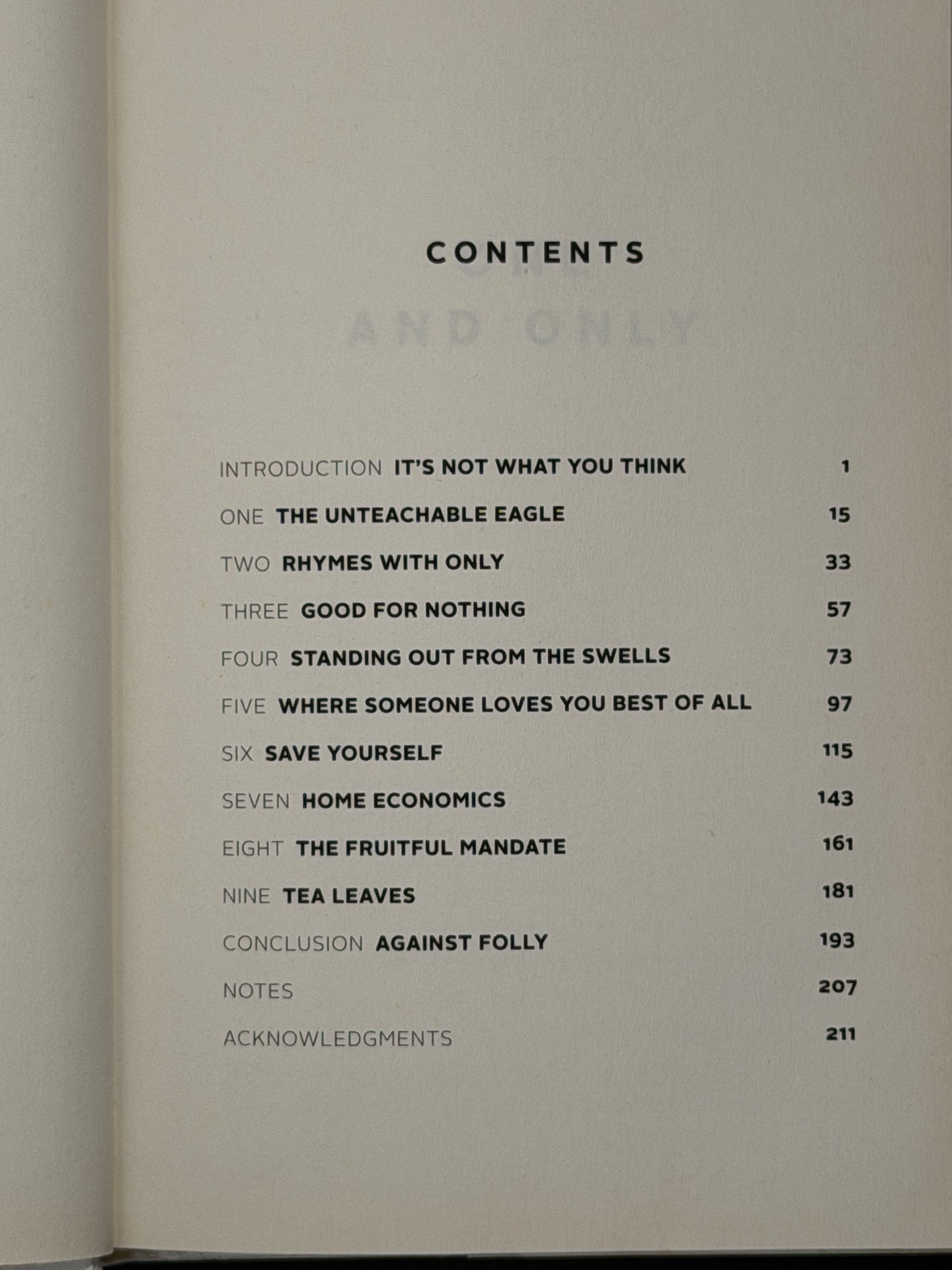 One and Only by Lauren Sandler