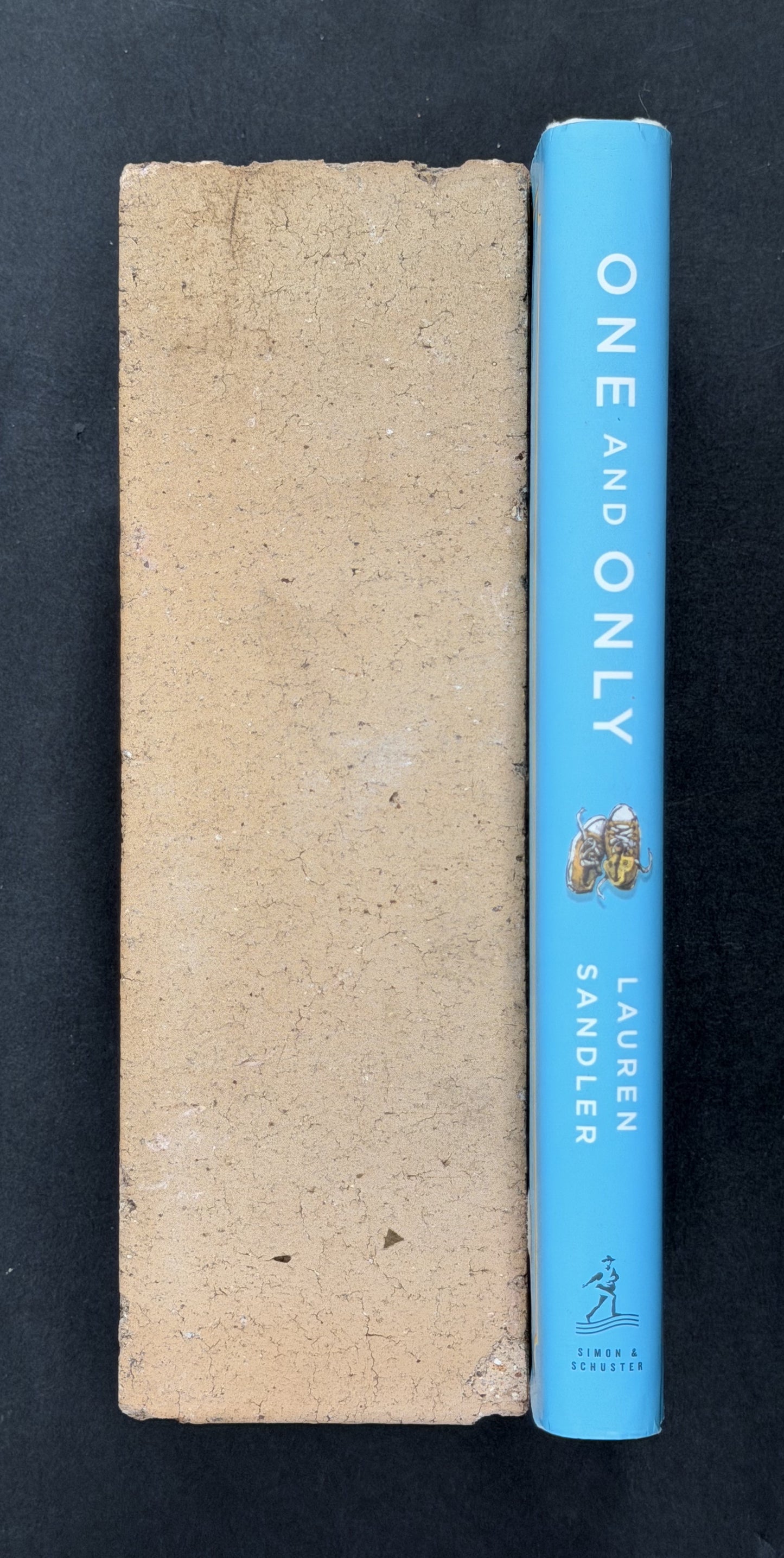 One and Only by Lauren Sandler