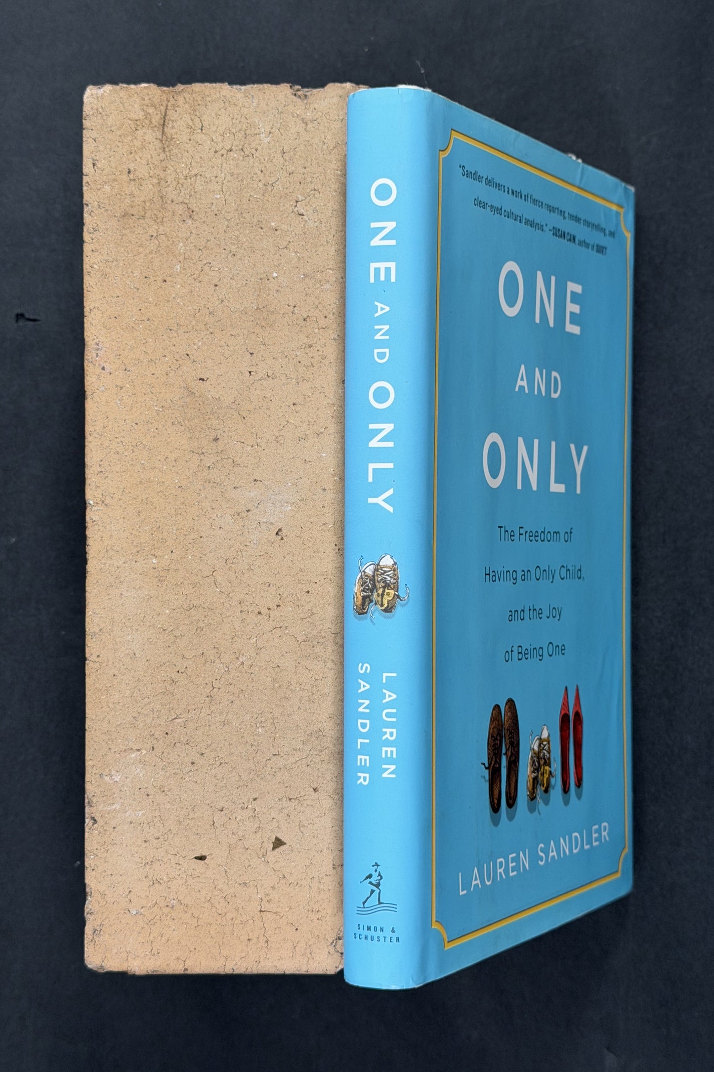 One and Only by Lauren Sandler