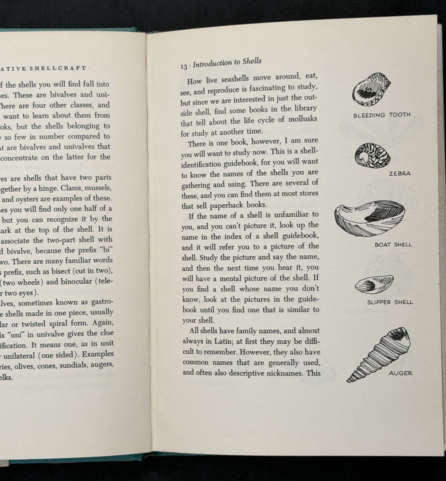 Creative Shellcraft by Katherine N. Cutler