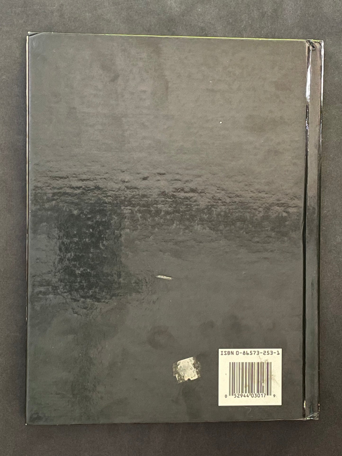 Quilting by Machine by Cy DeCosse Incorporated