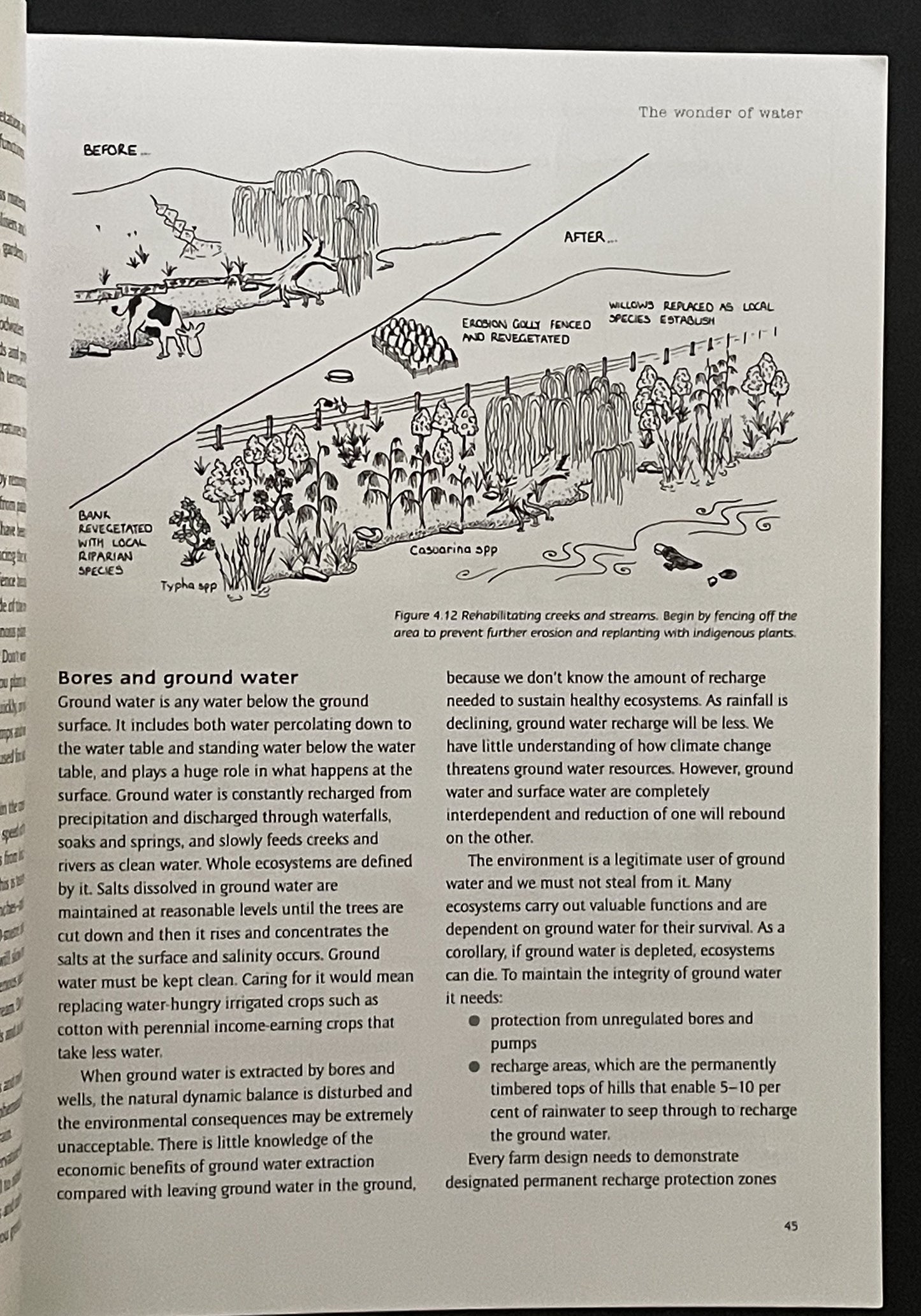 Earth User's Guide to Permaculture by Rosemary Morrow