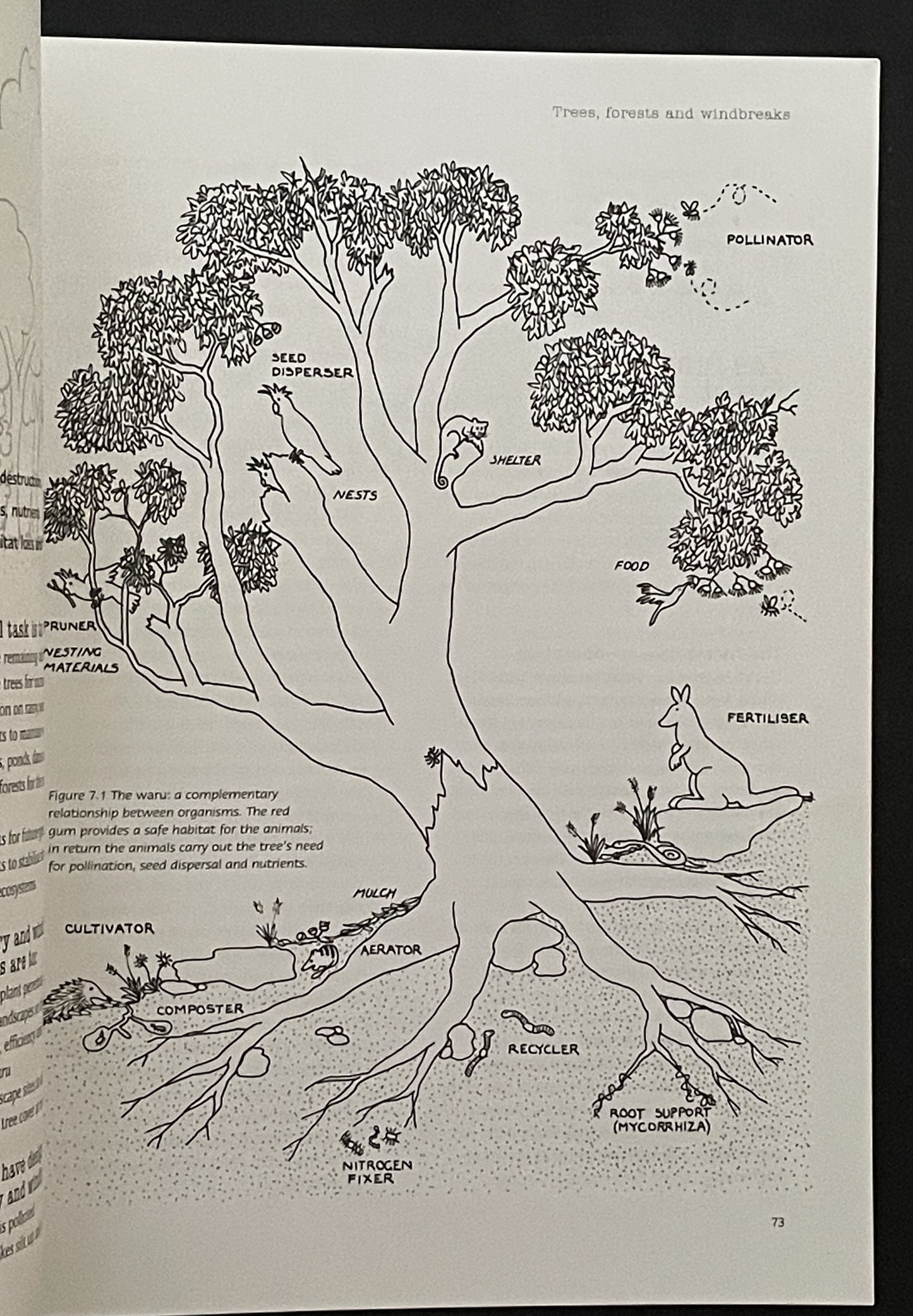 Earth User's Guide to Permaculture by Rosemary Morrow