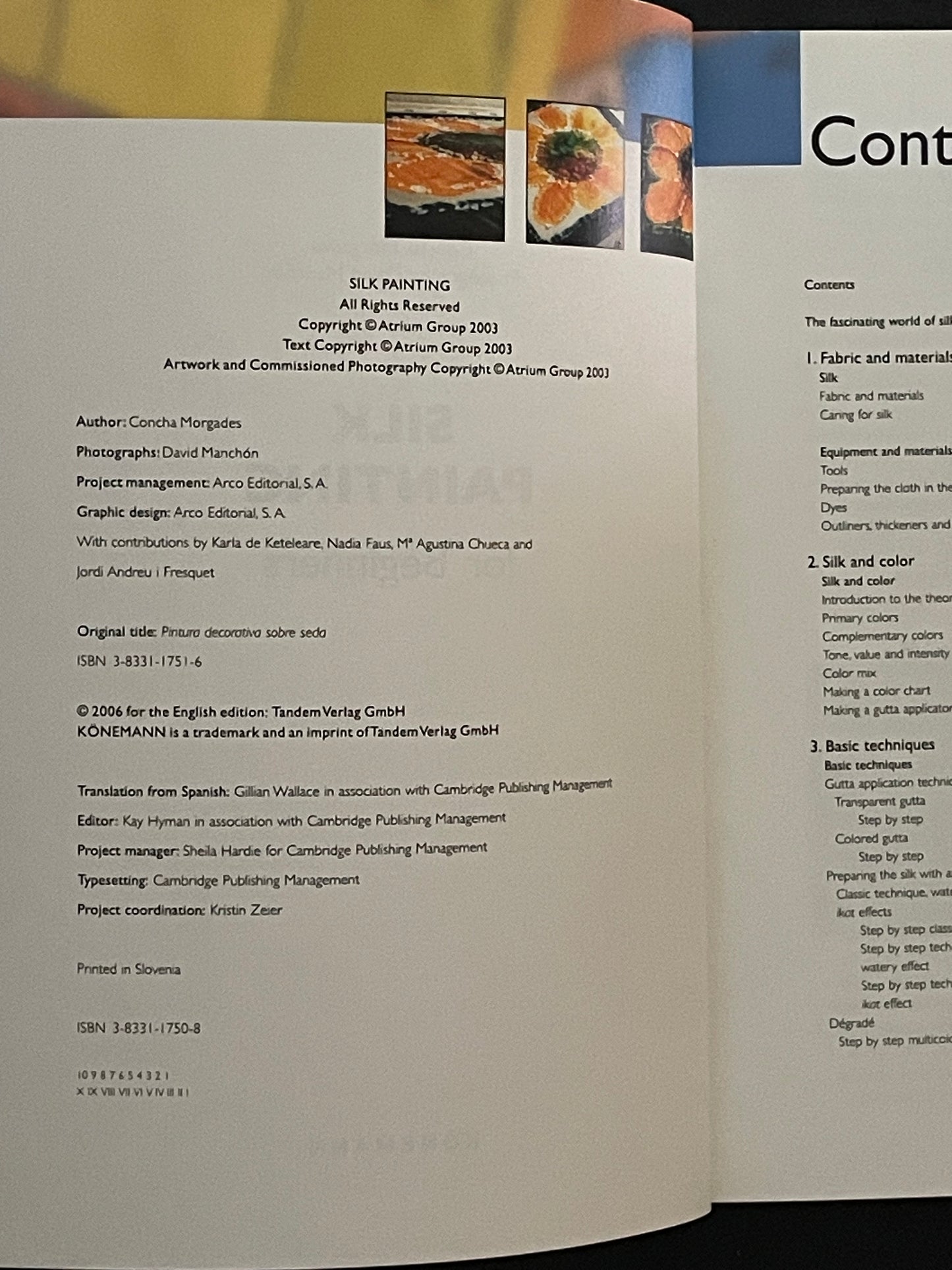 Silk Painting for Beginners by Concha Morgades