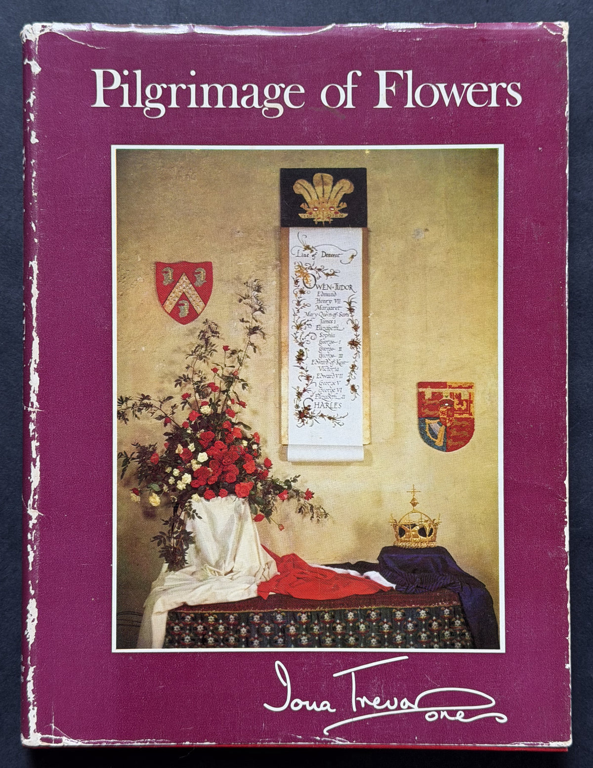 Pilgrimage of Flowers by Iona Trevor Jones
