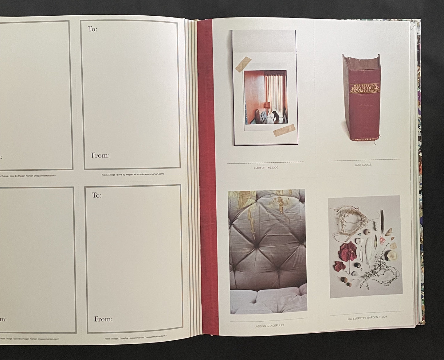 THINGS I LOVE by MEGAN MORTON