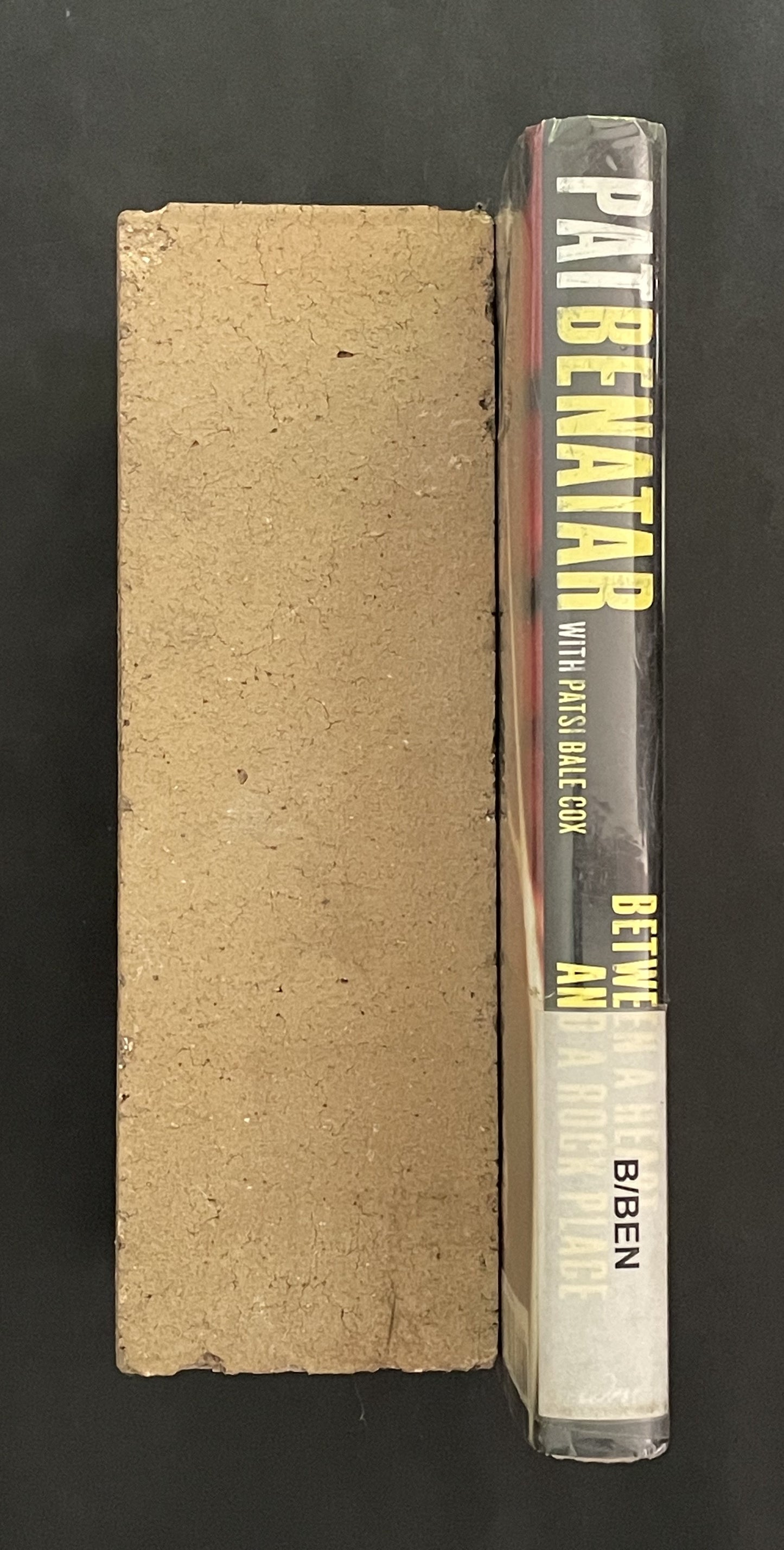 Between a Heart and a Rock Place by Pat Benatar