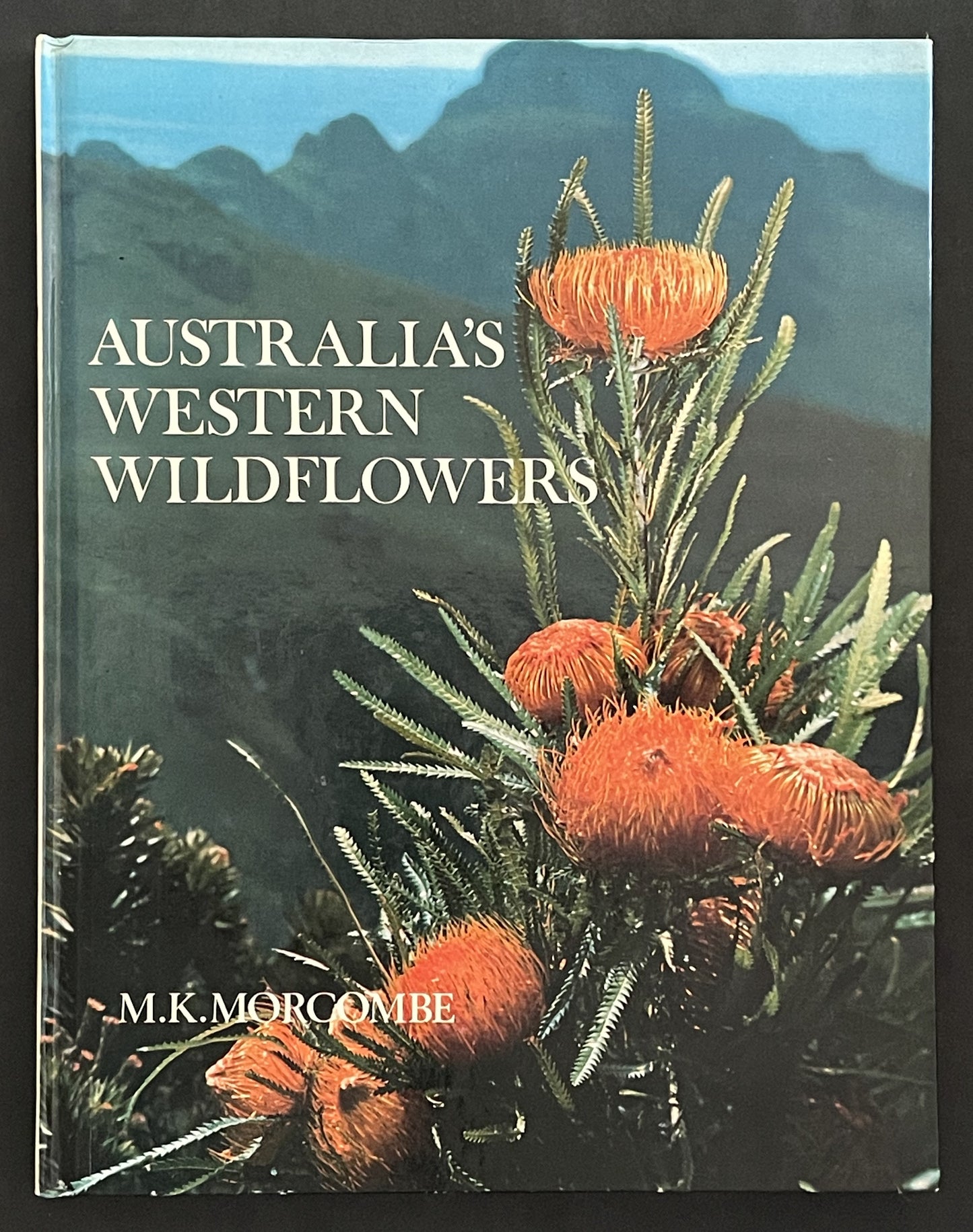 Australia's Western Wildflowers by Michael K. Morcombe