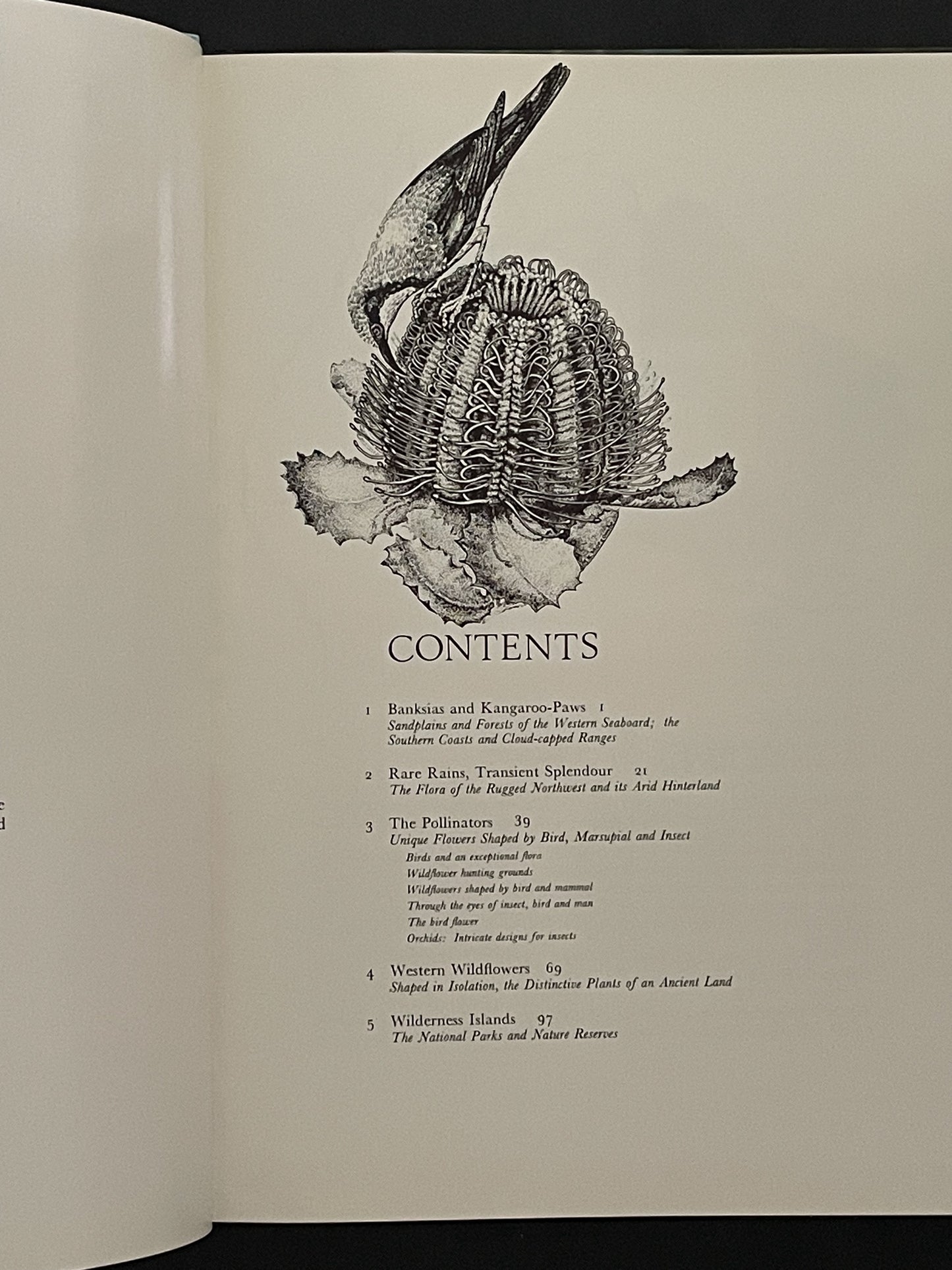 Australia's Western Wildflowers by Michael K. Morcombe