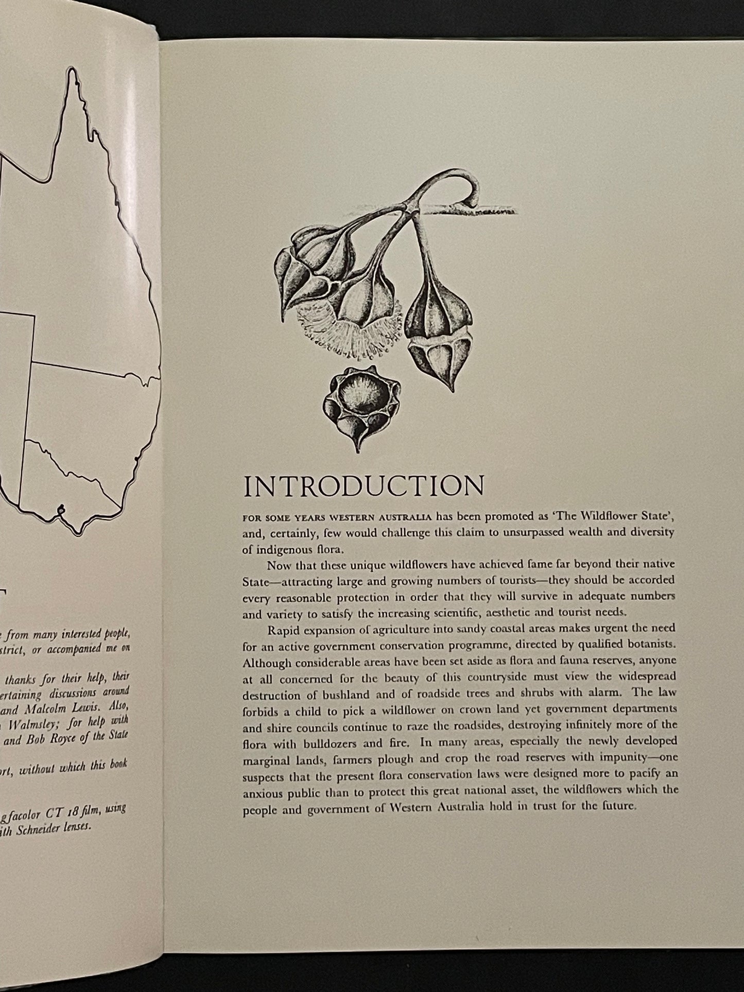 Australia's Western Wildflowers by Michael K. Morcombe