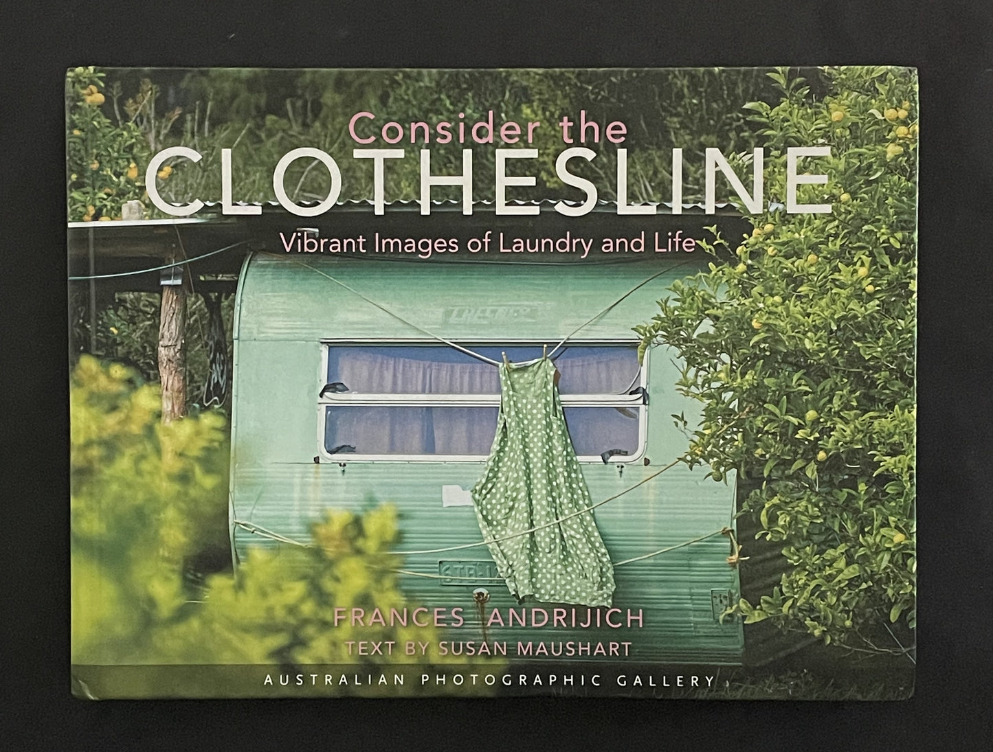 Consider the Clothesline by Frances Andrijich, text by Susan Maushart