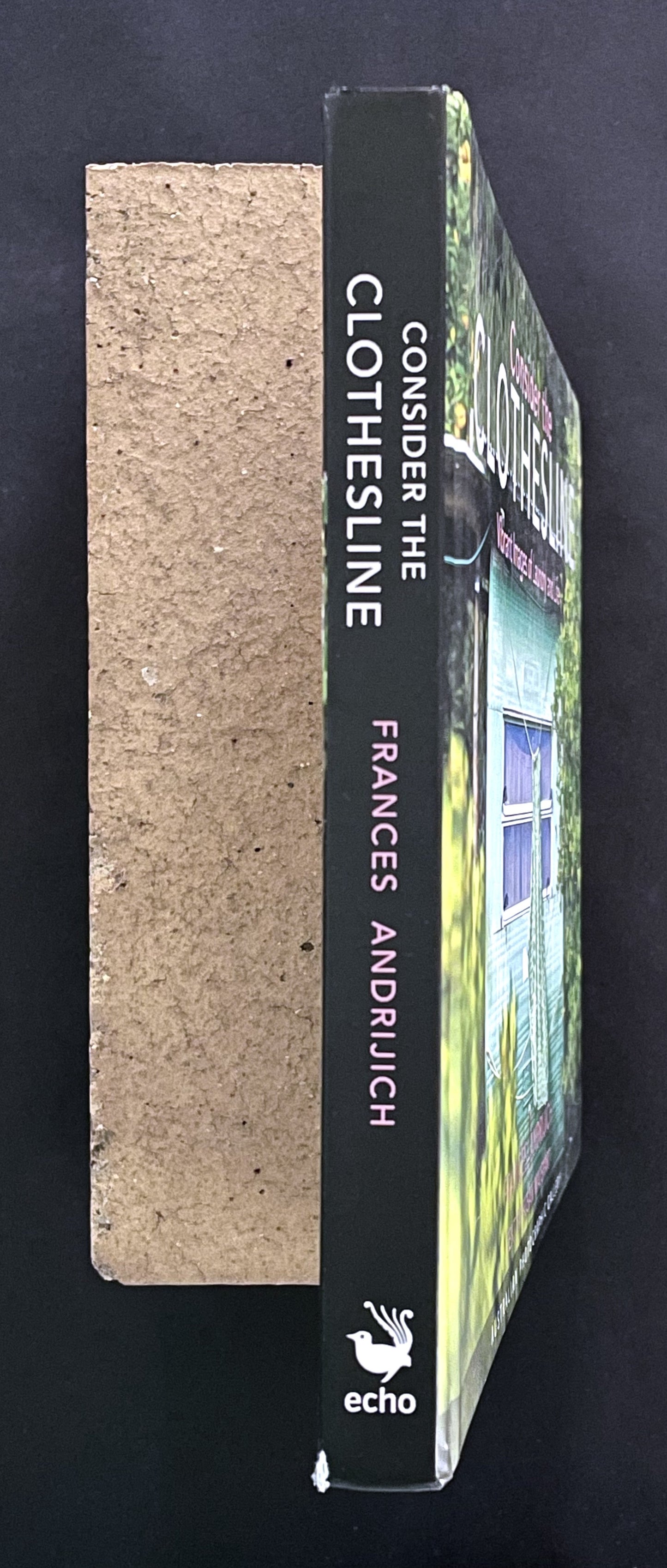Consider the Clothesline by Frances Andrijich, text by Susan Maushart