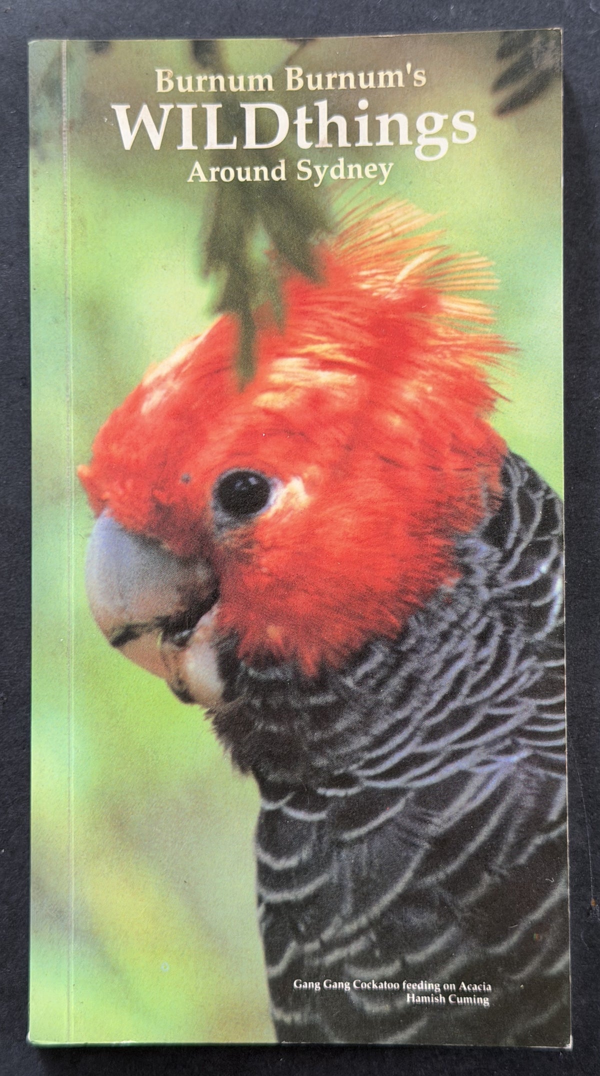 Burnum Burnum's Wildthings by Geoff R. Sainty et al.