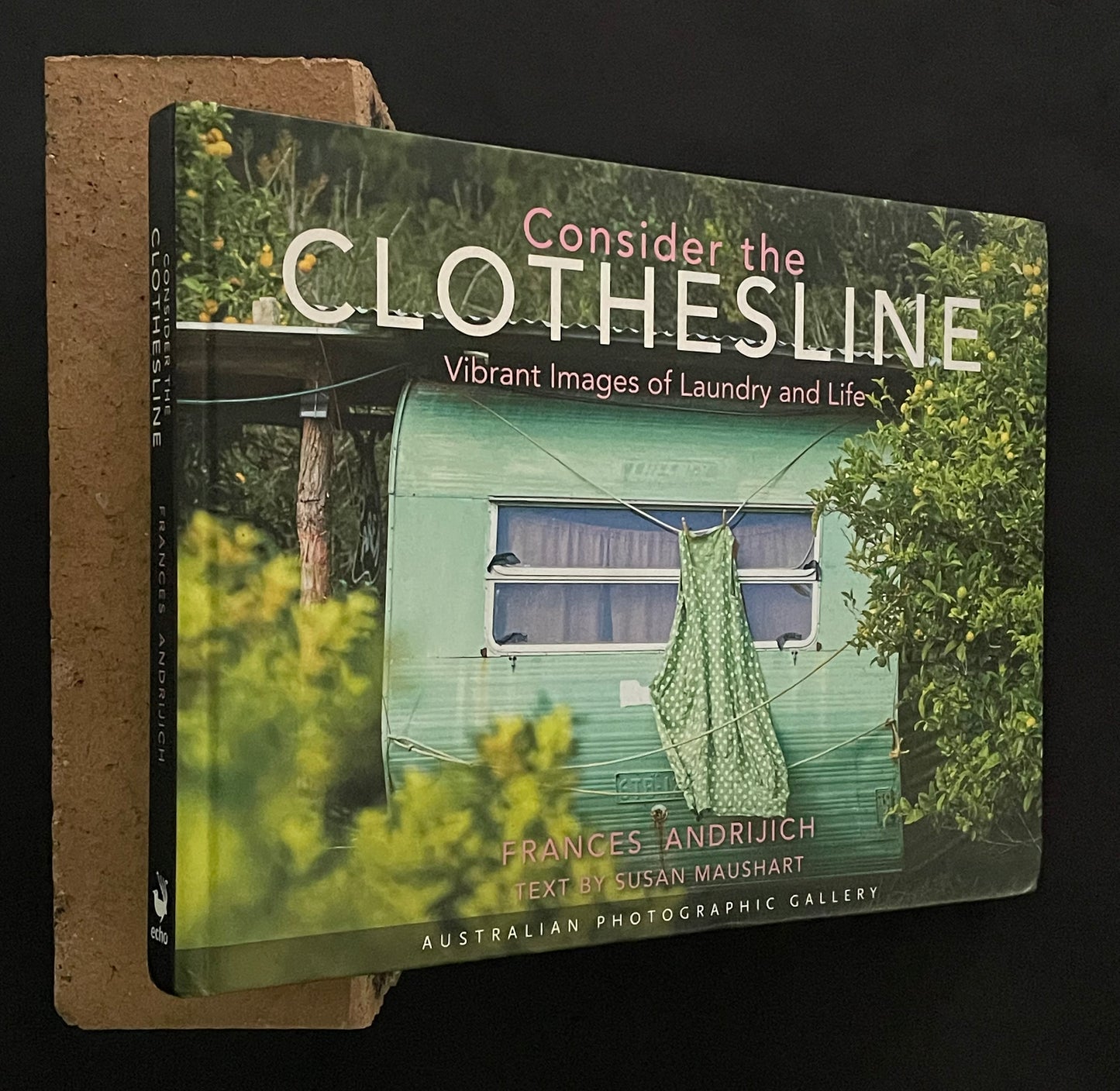 Consider the Clothesline by Frances Andrijich, text by Susan Maushart