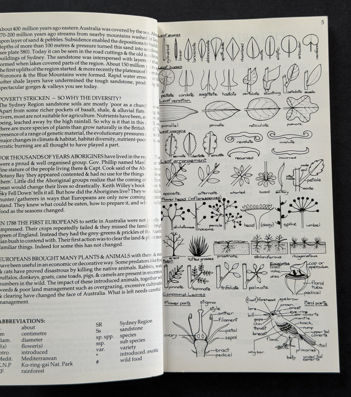 Burnum Burnum's Wildthings by Geoff R. Sainty et al.
