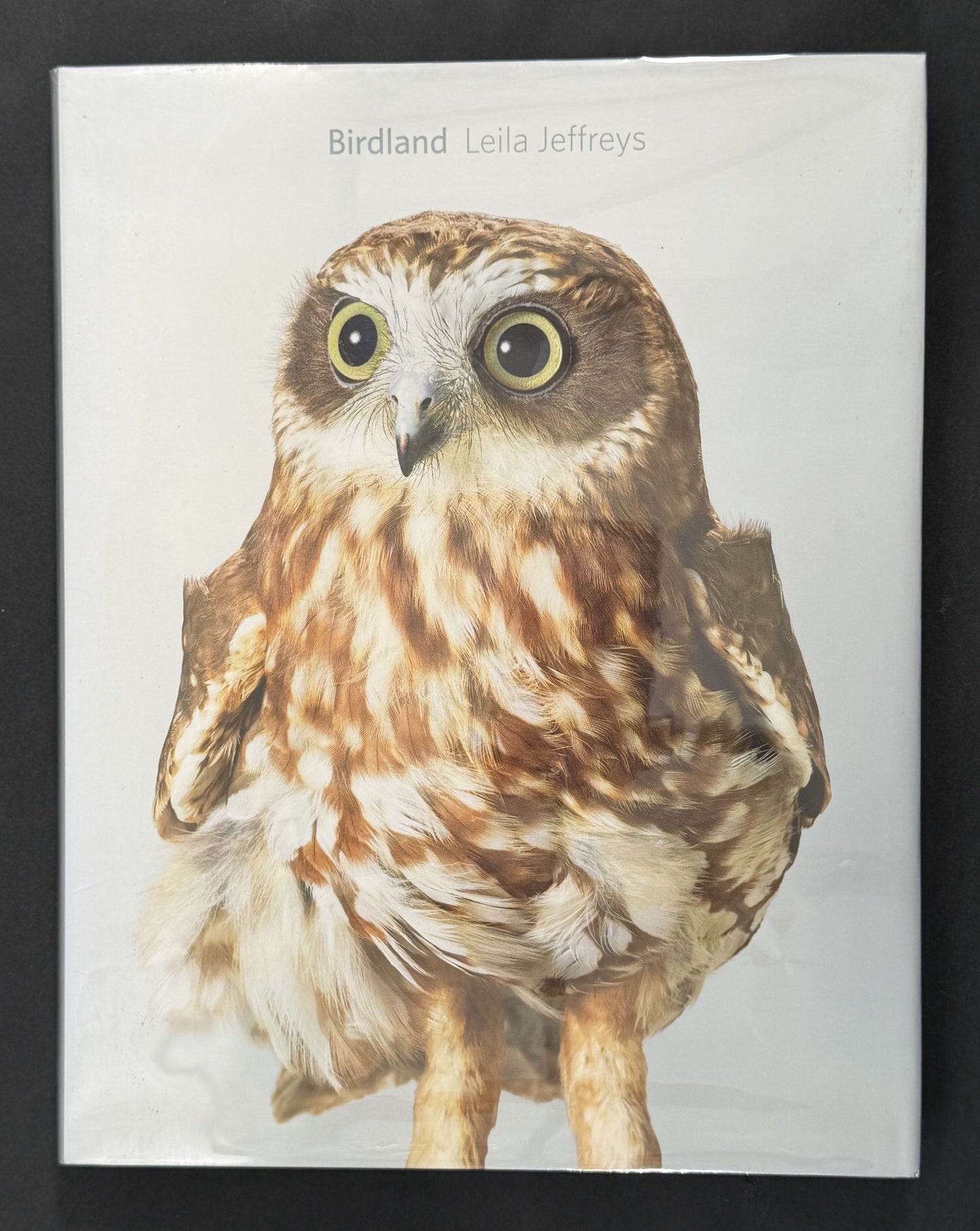 Birdland by Leila Jeffreys
