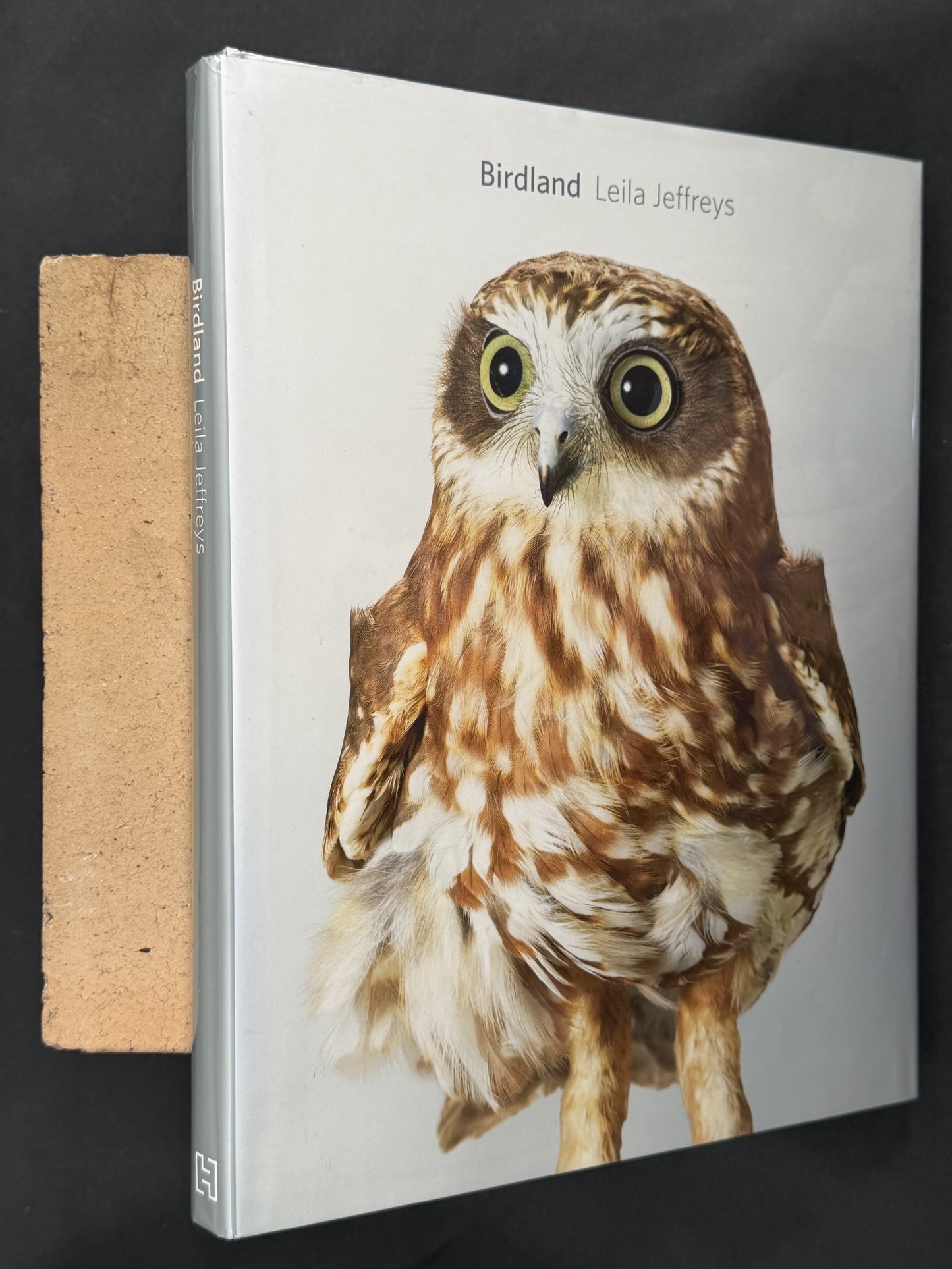 Birdland by Leila Jeffreys