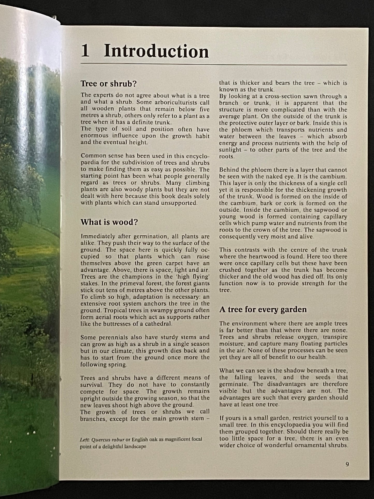 The Complete Encyclopedia of Trees and Shrubs by Nico Vermeulen