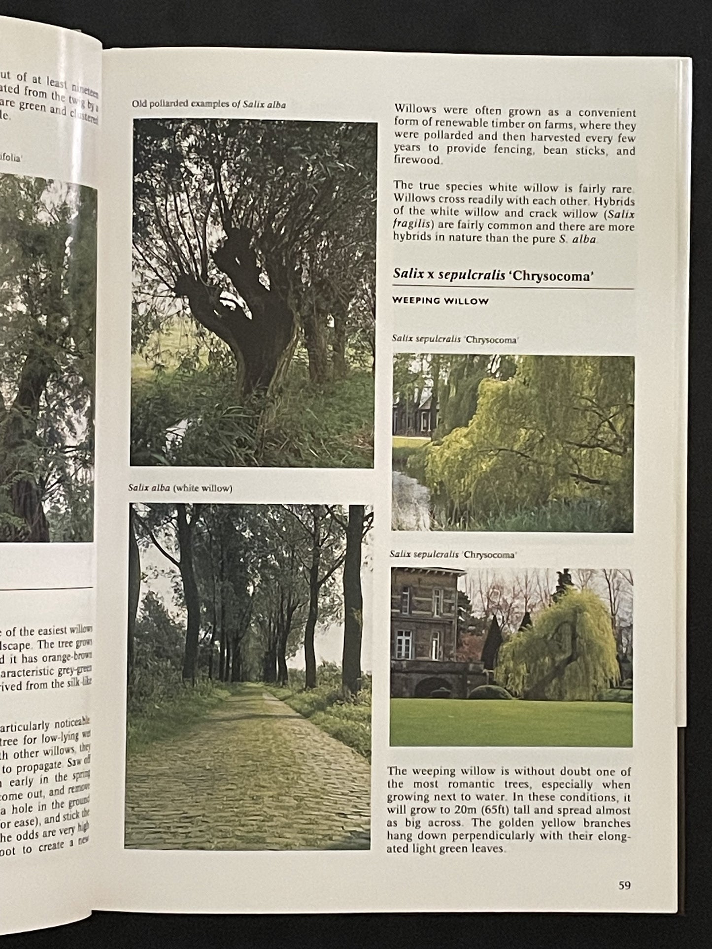 The Complete Encyclopedia of Trees and Shrubs by Nico Vermeulen