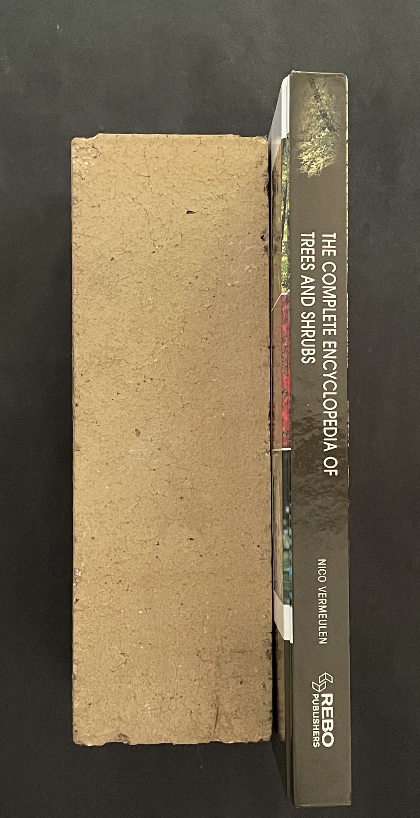 The Complete Encyclopedia of Trees and Shrubs by Nico Vermeulen