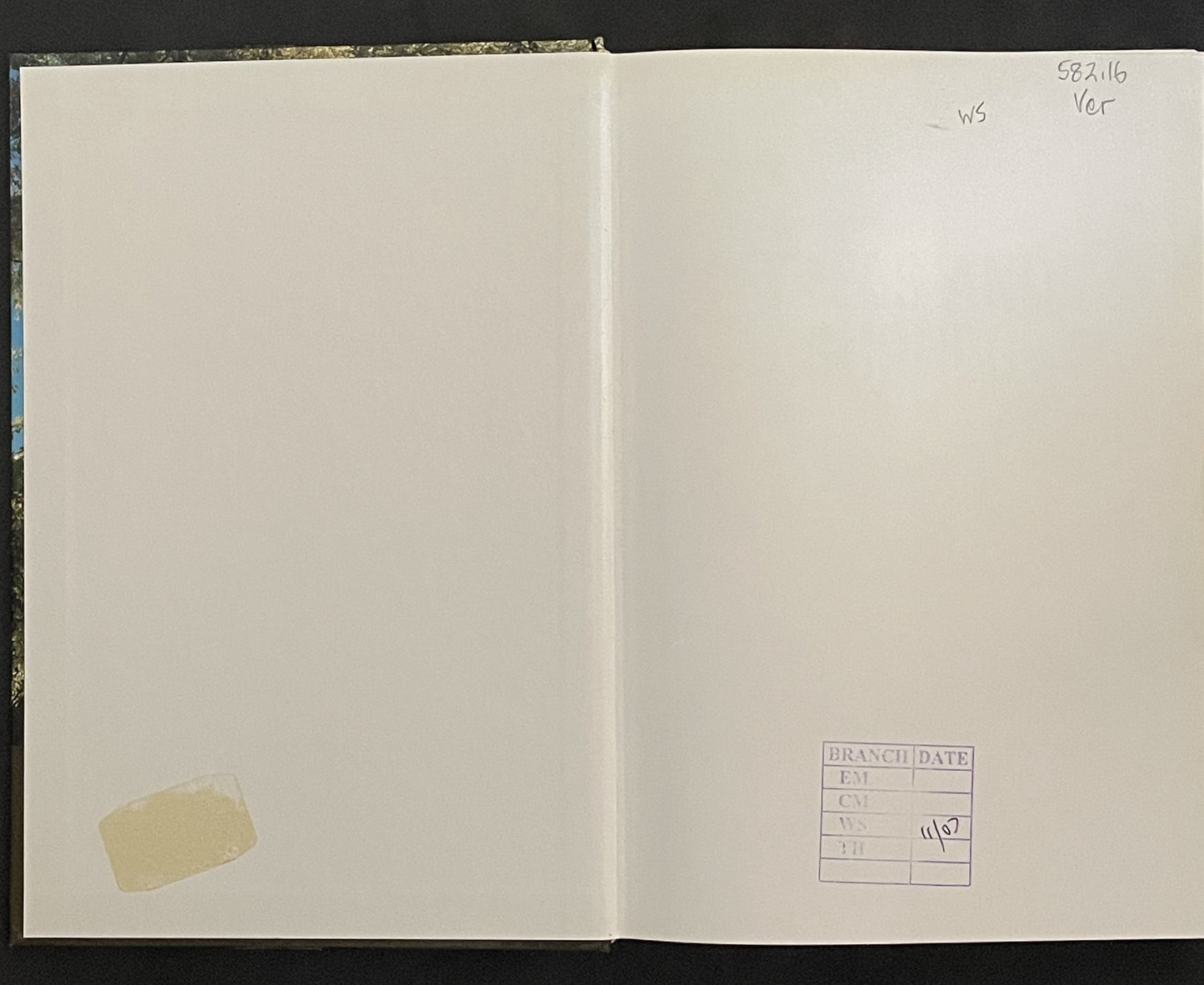 The Complete Encyclopedia of Trees and Shrubs by Nico Vermeulen