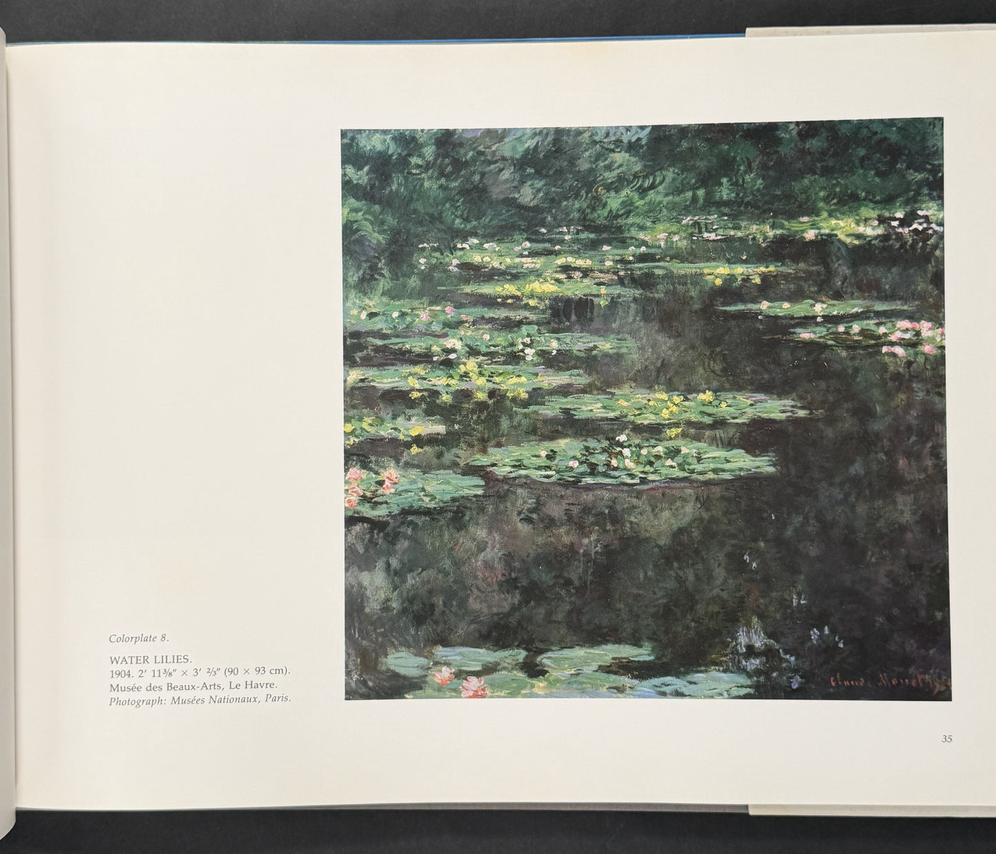 Water Lilies by Charles F. Stuckey
