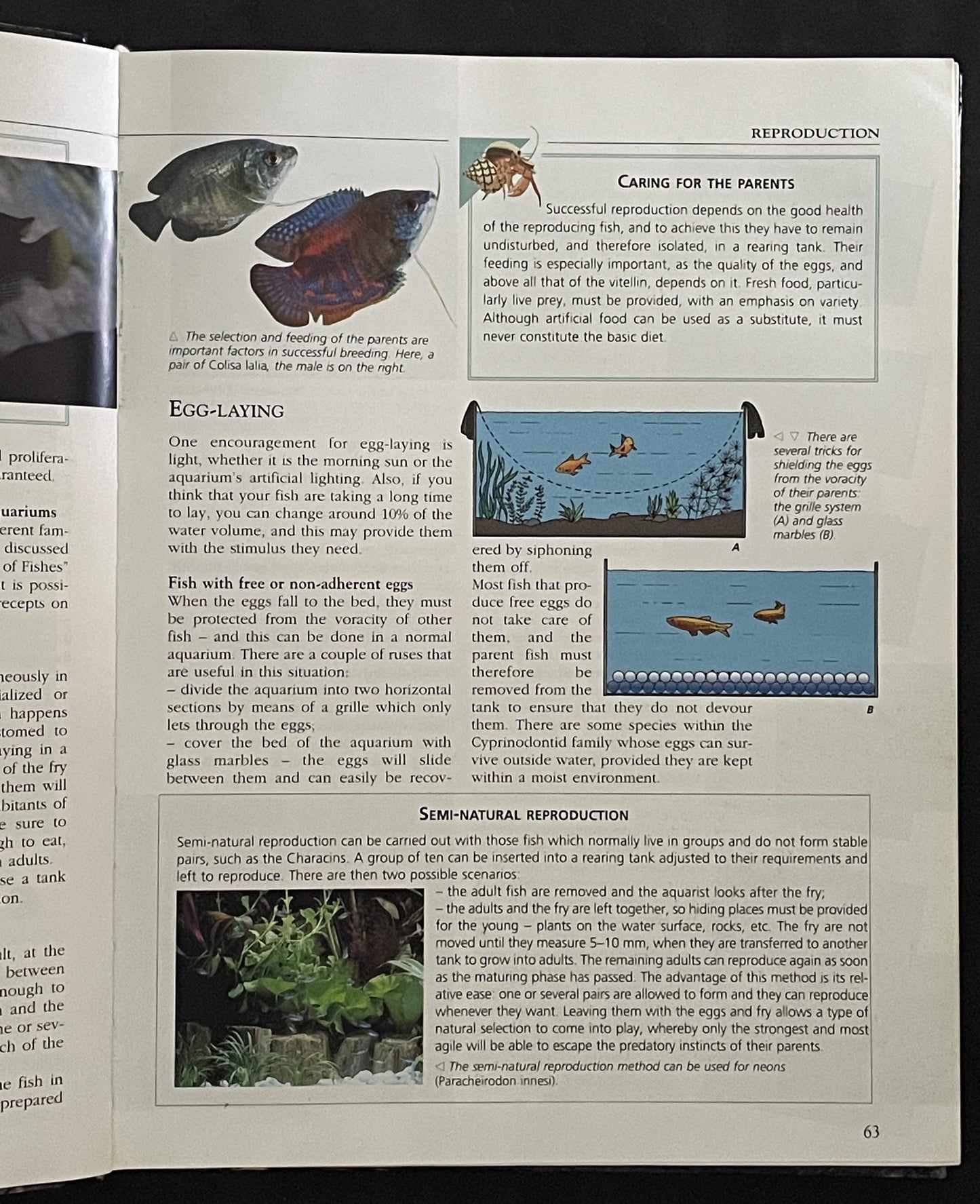 The Complete Aquarium Guide by Konemann, h.f.ullmann