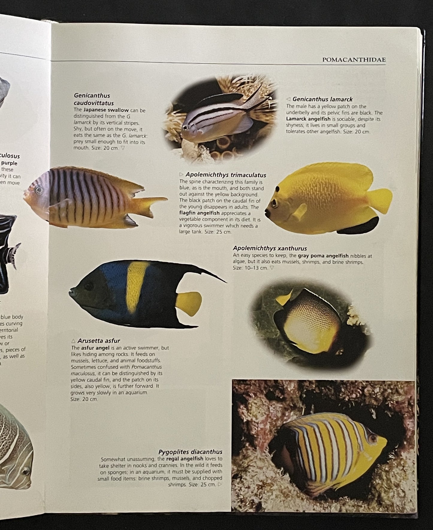 The Complete Aquarium Guide by Konemann, h.f.ullmann