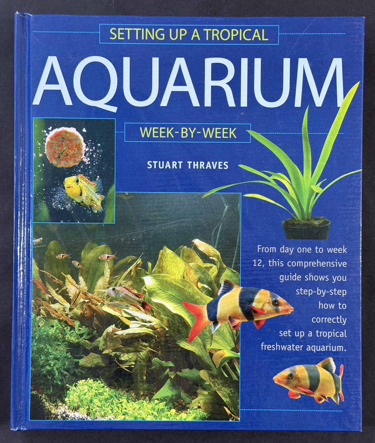 Setting up a tropical aquarium week-by-week by Stuart Thraves