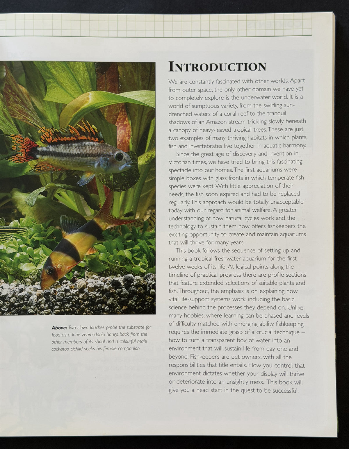 Setting up a tropical aquarium week-by-week by Stuart Thraves