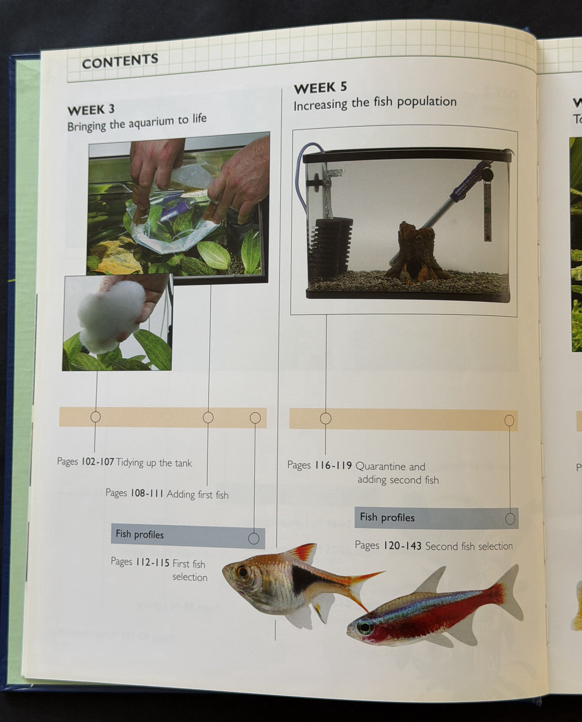 Setting up a tropical aquarium week-by-week by Stuart Thraves