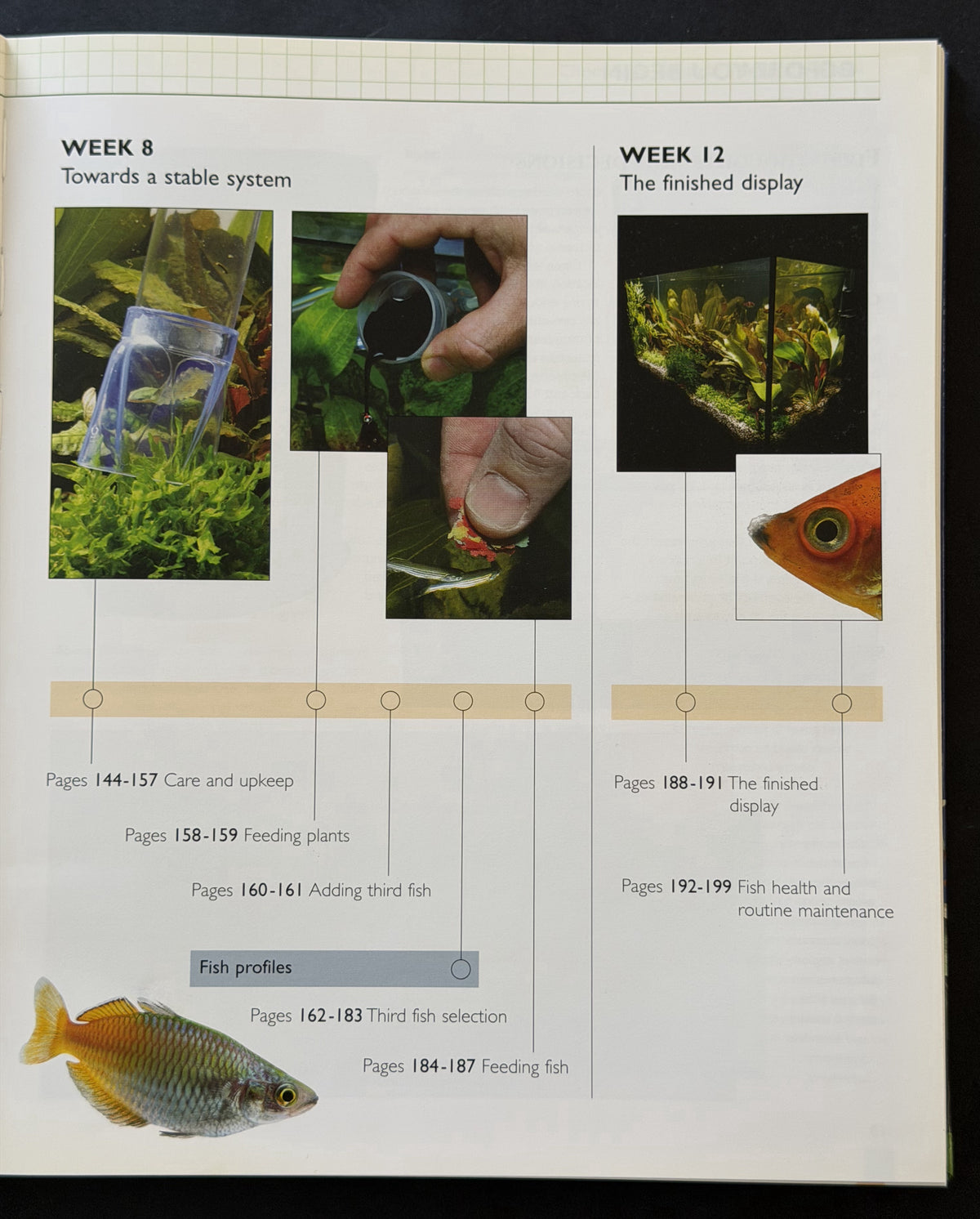 Setting up a tropical aquarium week-by-week by Stuart Thraves
