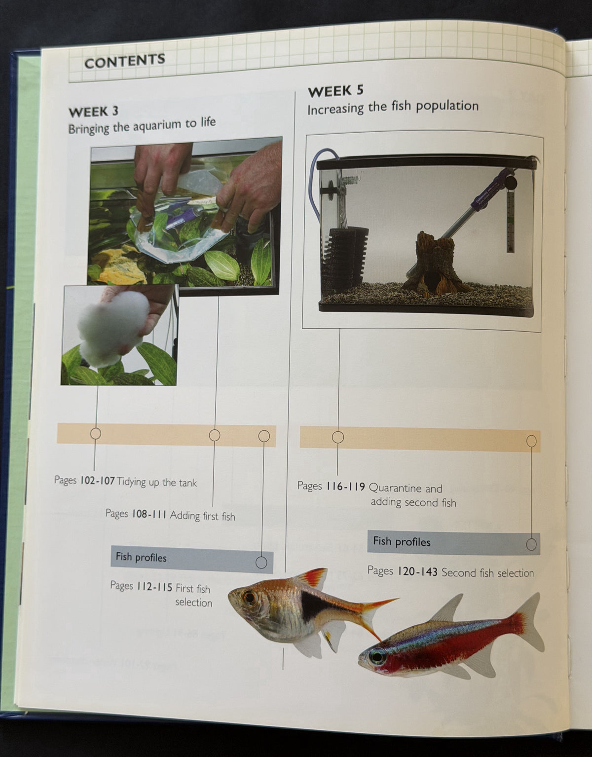 Setting up a tropical aquarium week-by-week by Stuart Thraves