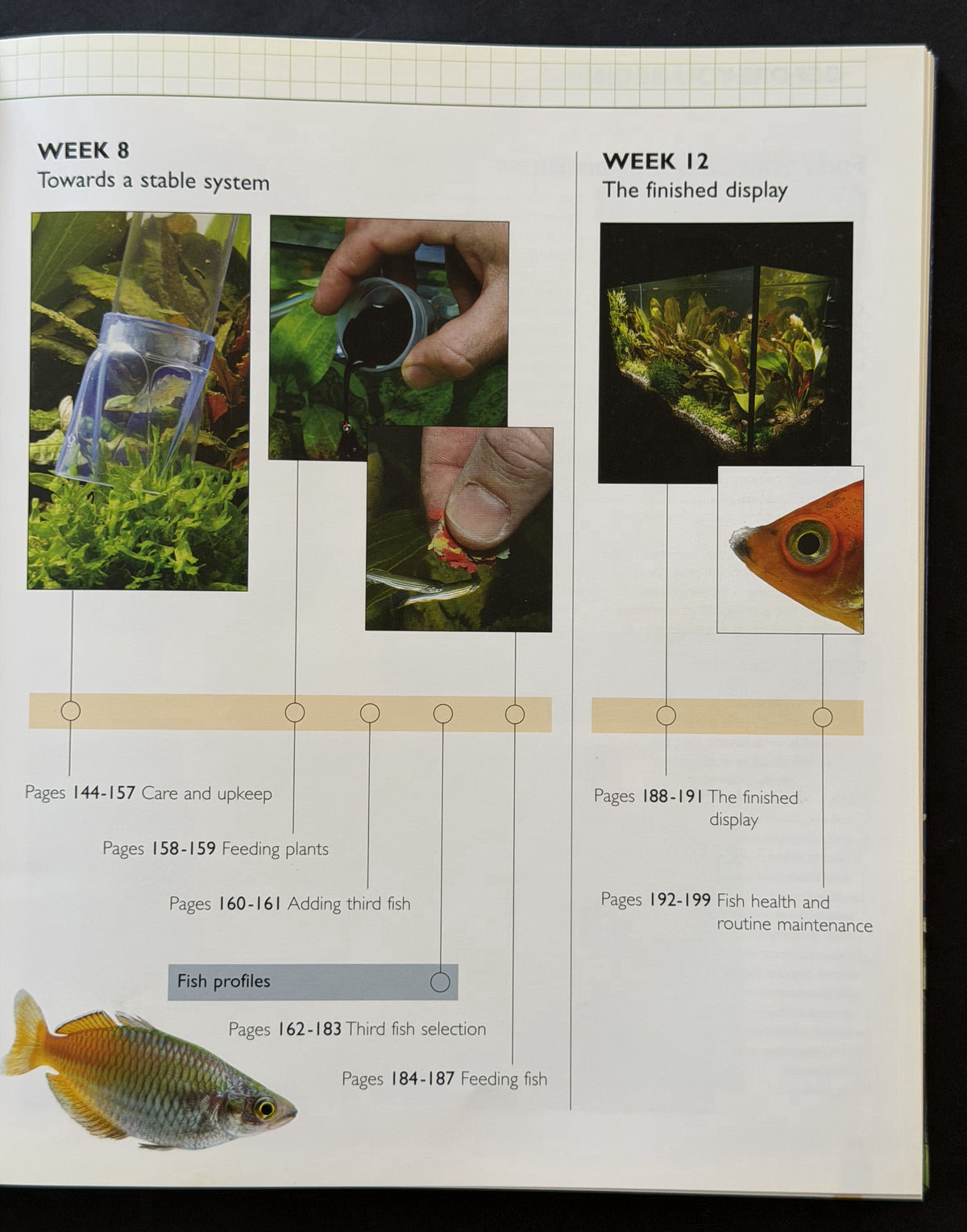 Setting up a tropical aquarium week-by-week by Stuart Thraves