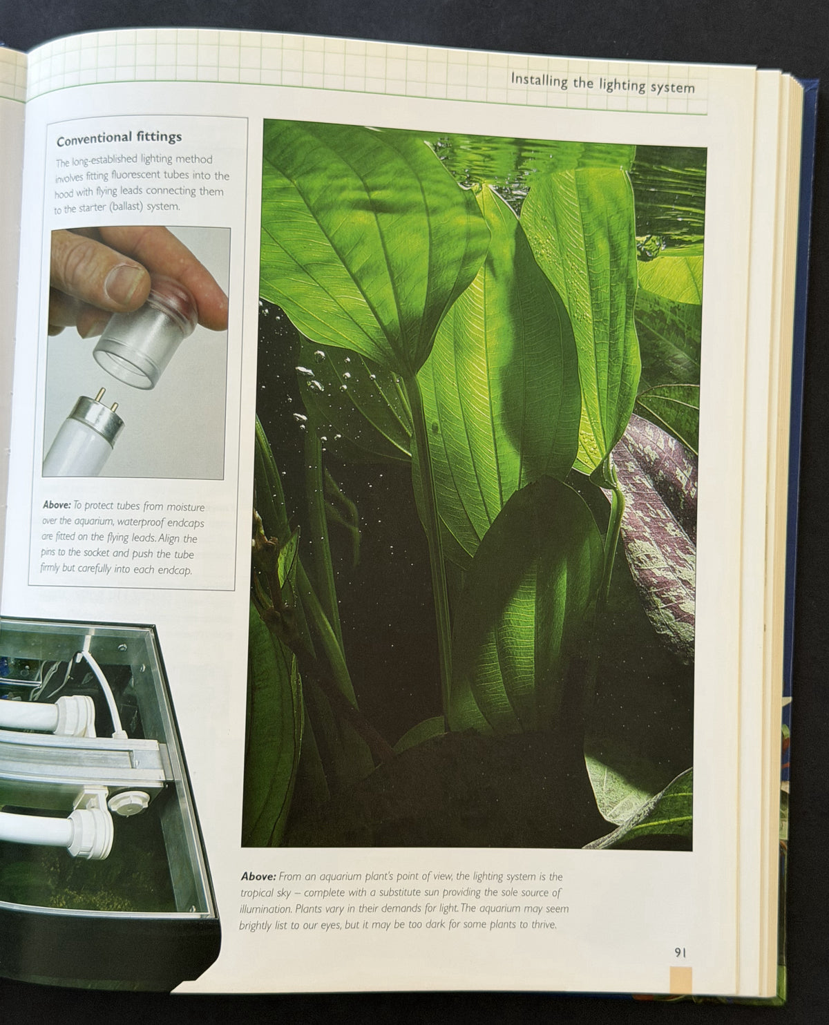 Setting up a tropical aquarium week-by-week by Stuart Thraves