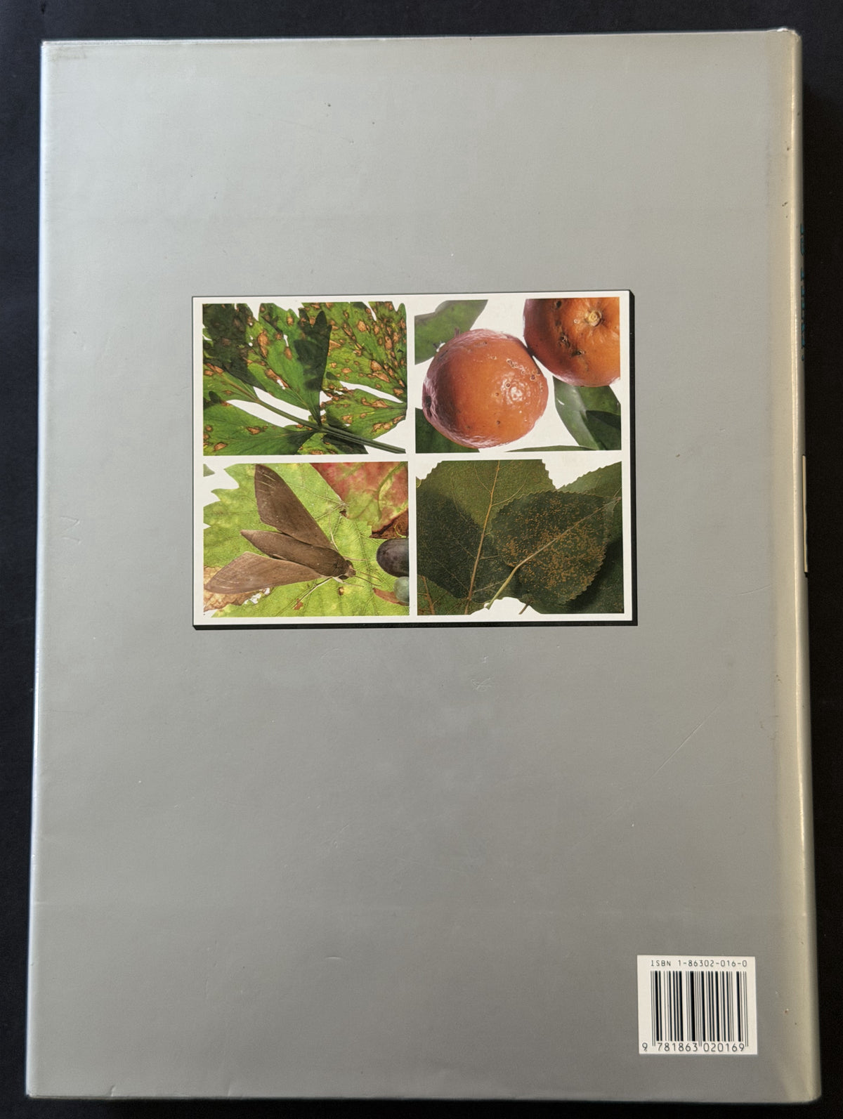 What Garden Pest or Disease is That? Every Garden Problem Solved