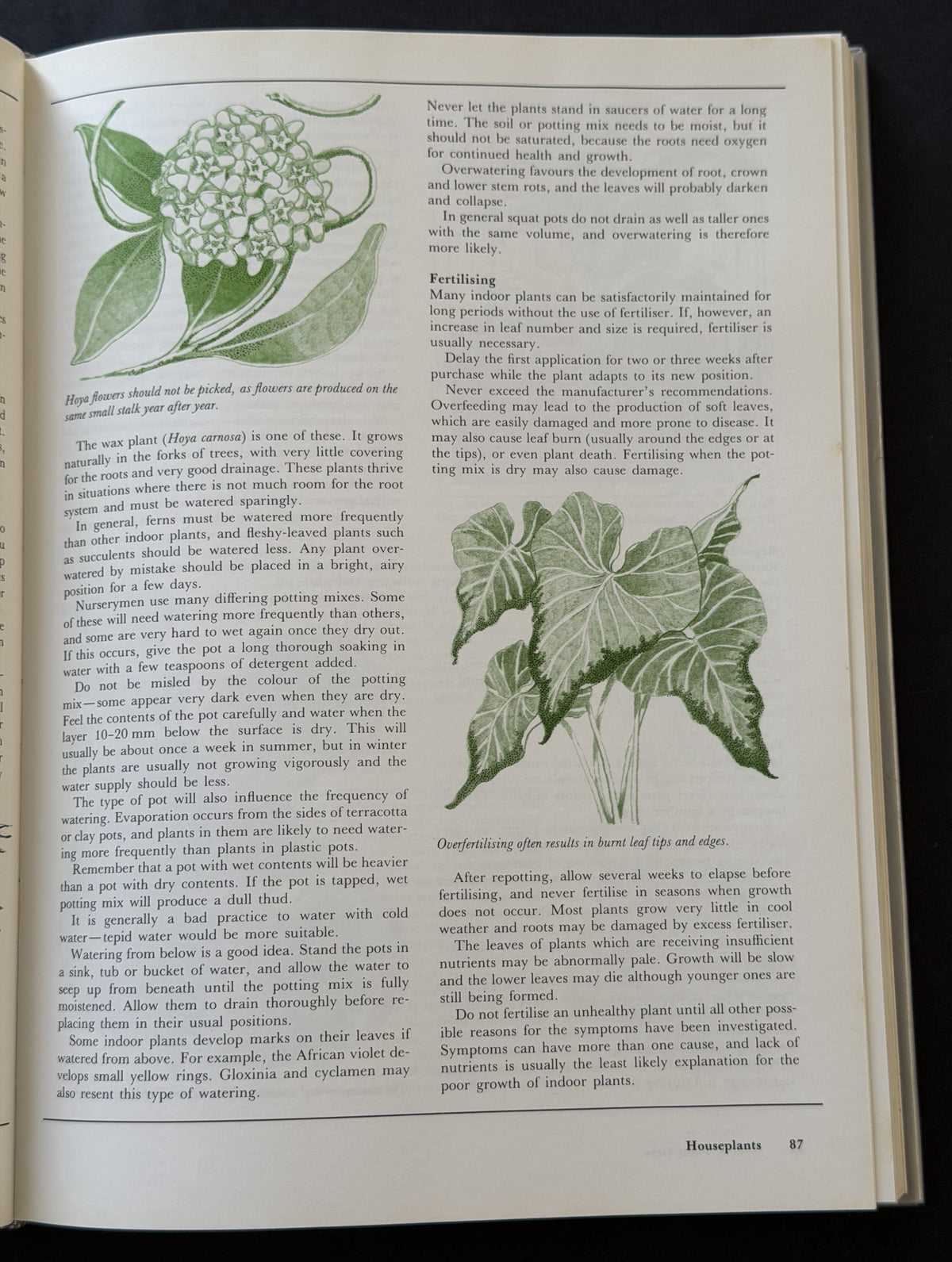 What Garden Pest or Disease is That? Every Garden Problem Solved