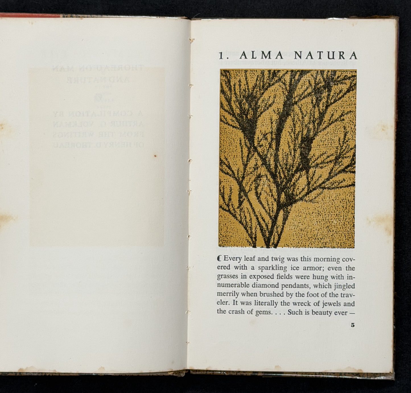 Thoreau on Man & Nature by Arthur G. Volkman
