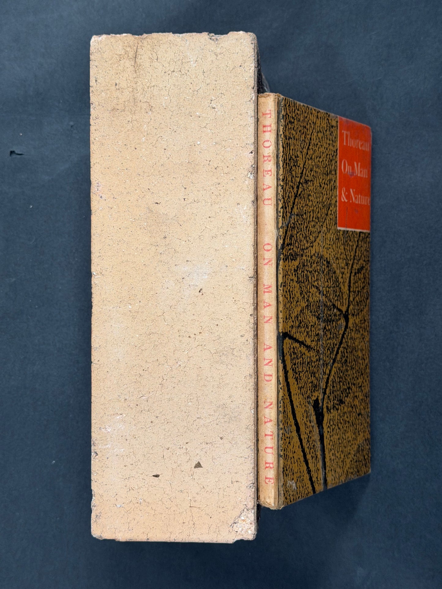 Thoreau on Man & Nature by Arthur G. Volkman
