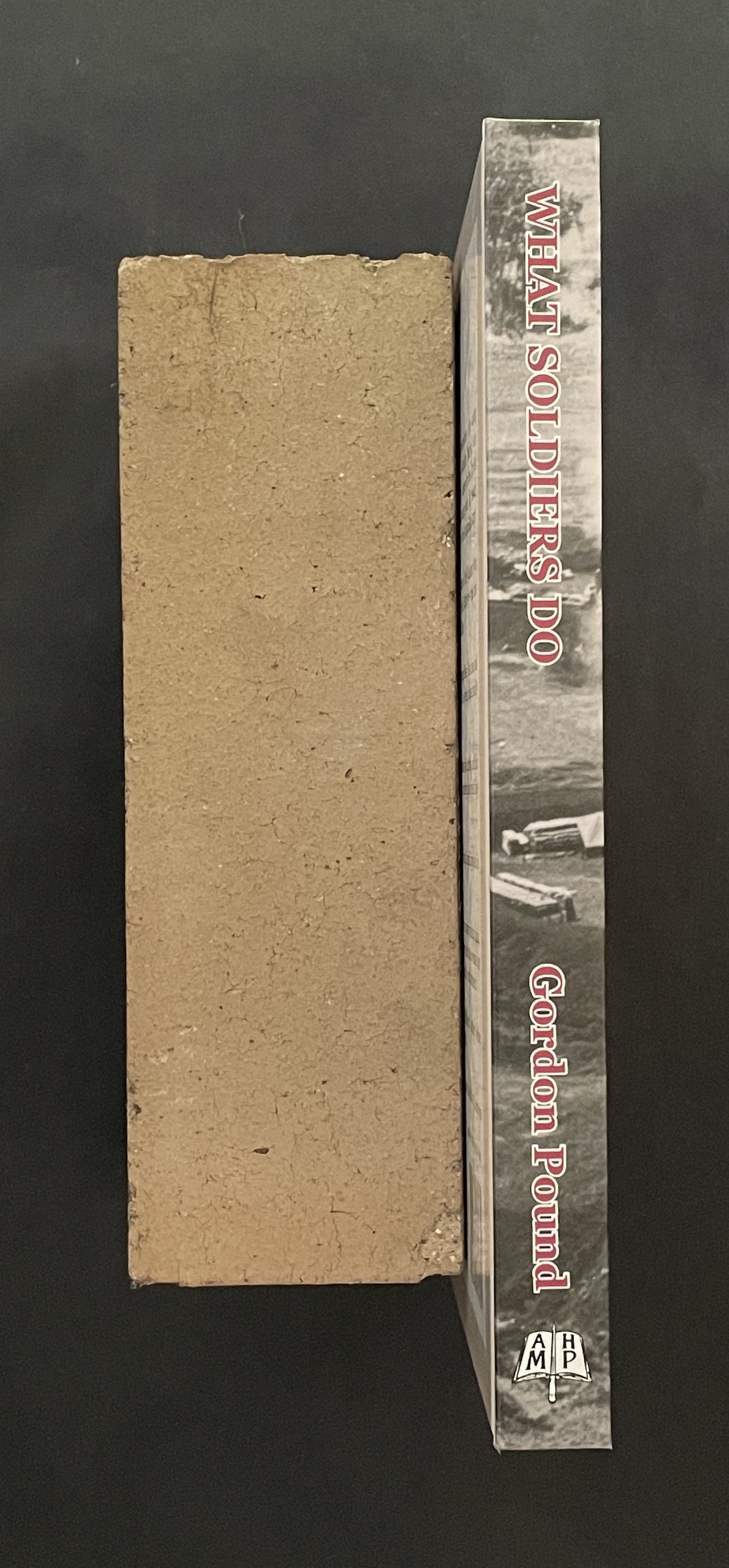 What Soldiers Do by Gordon Pound