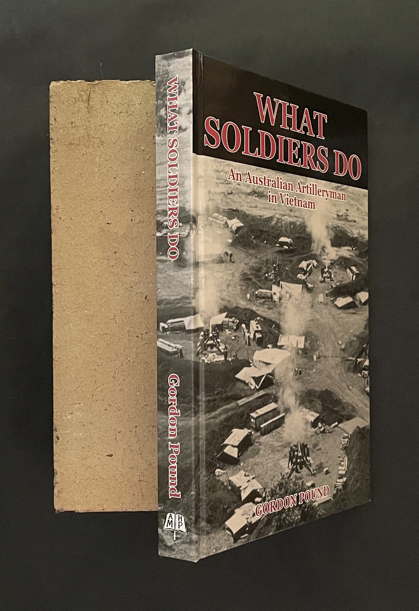 What Soldiers Do by Gordon Pound