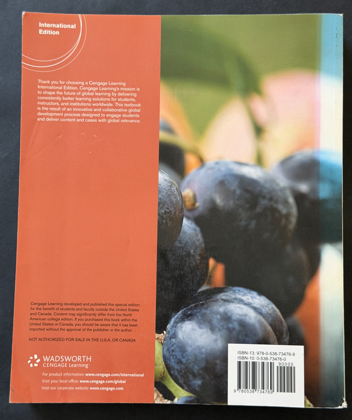 Understanding Nutrition by Ellie Whitney and Sharon Rady Rolfes