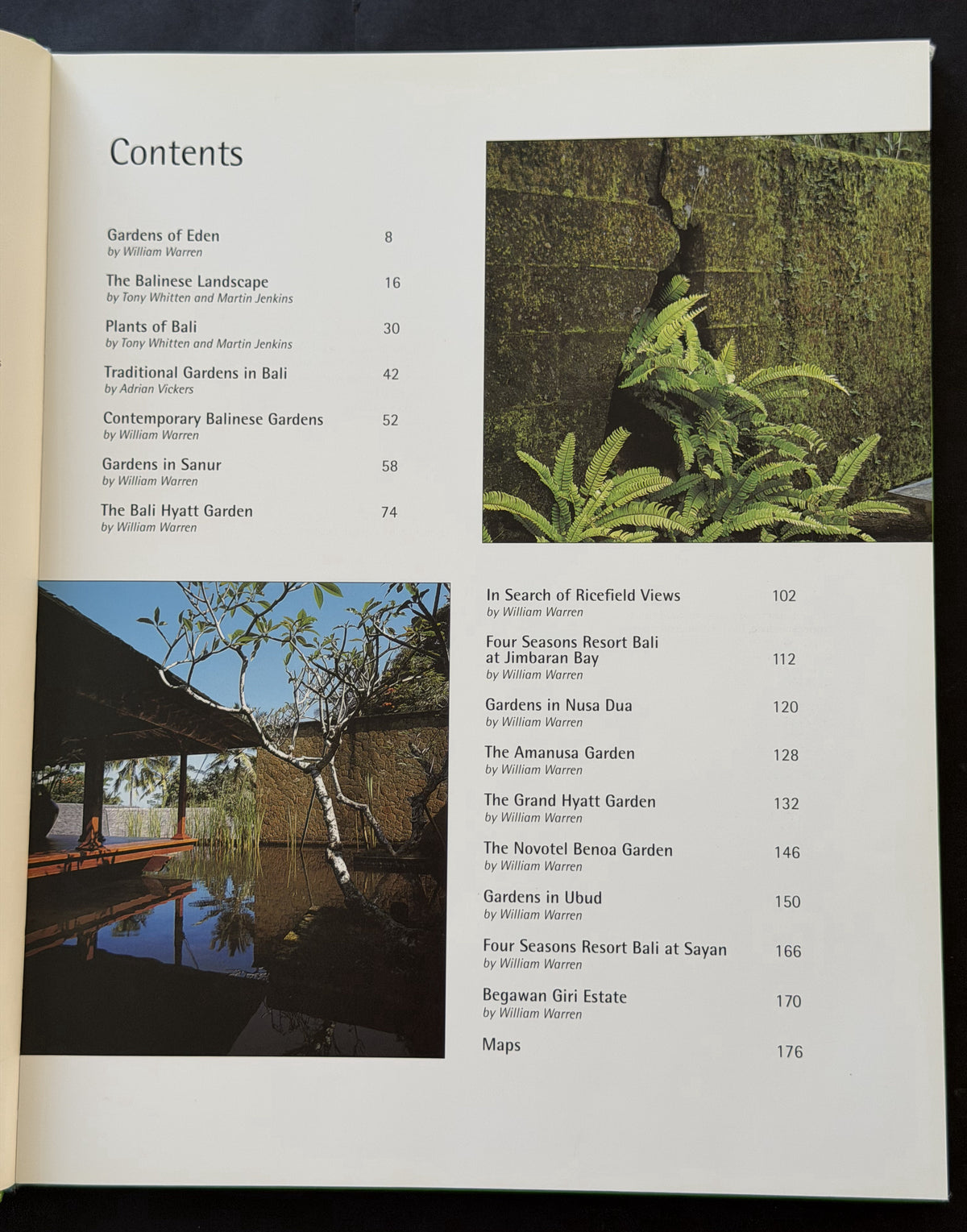 Balinese Gardens by William Warren